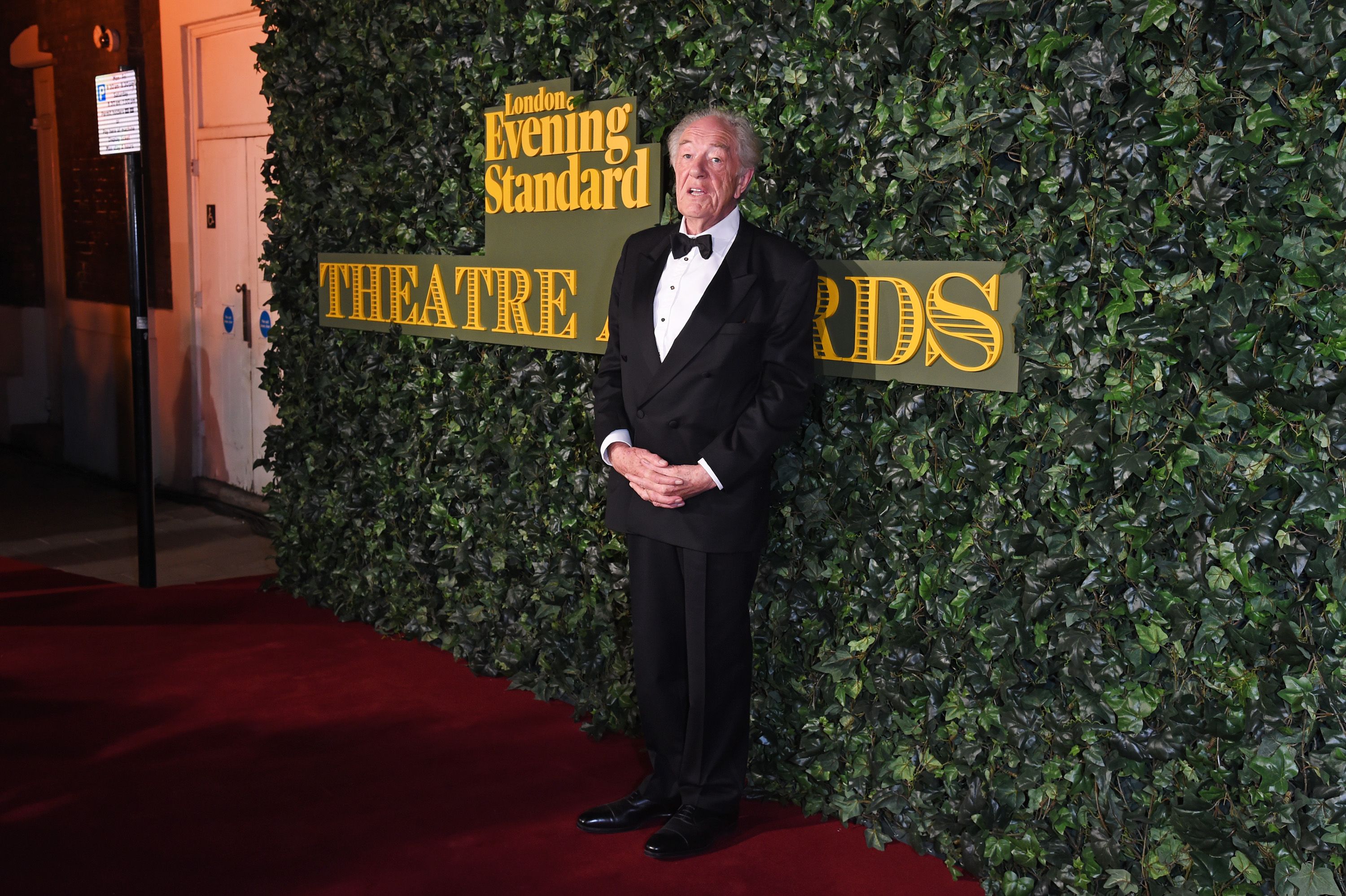 Image Credits: Getty Images / Michael Gambon