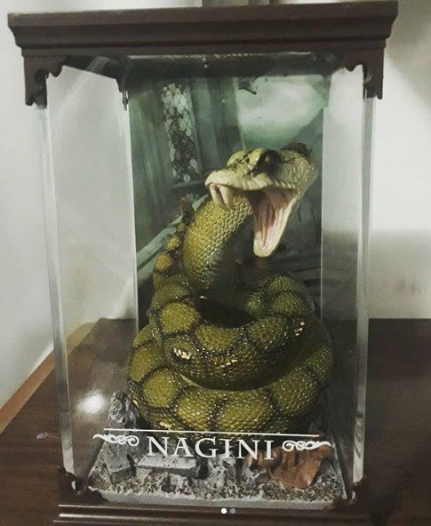 Crédito de imagen: Instagram/ff_acervo Crédito de imagen: Instagram/ff_acervo