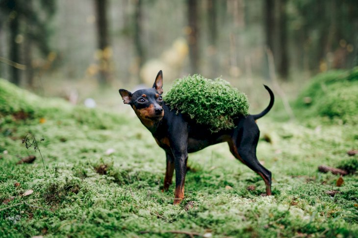 Image Credit: Unsplash / Karolina WV