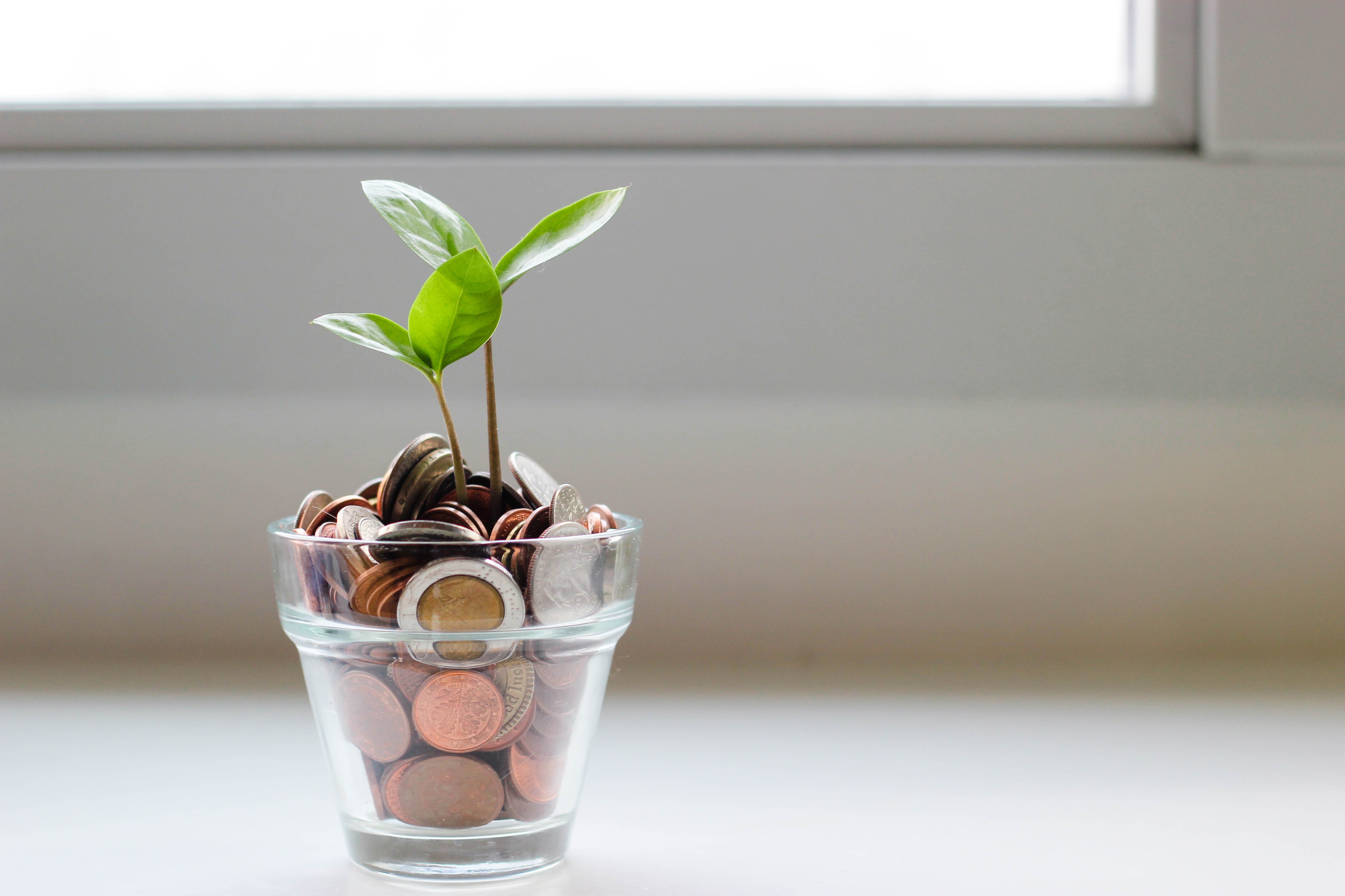 Image Source: Unsplash/Micheile Henderson