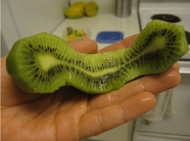 Créditos imagen: imgur/Deallyo Créditos imagen: imgur/Deallyo