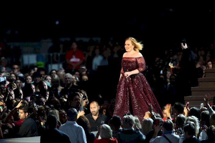 Image Credit: Getty Images / Adele at a show