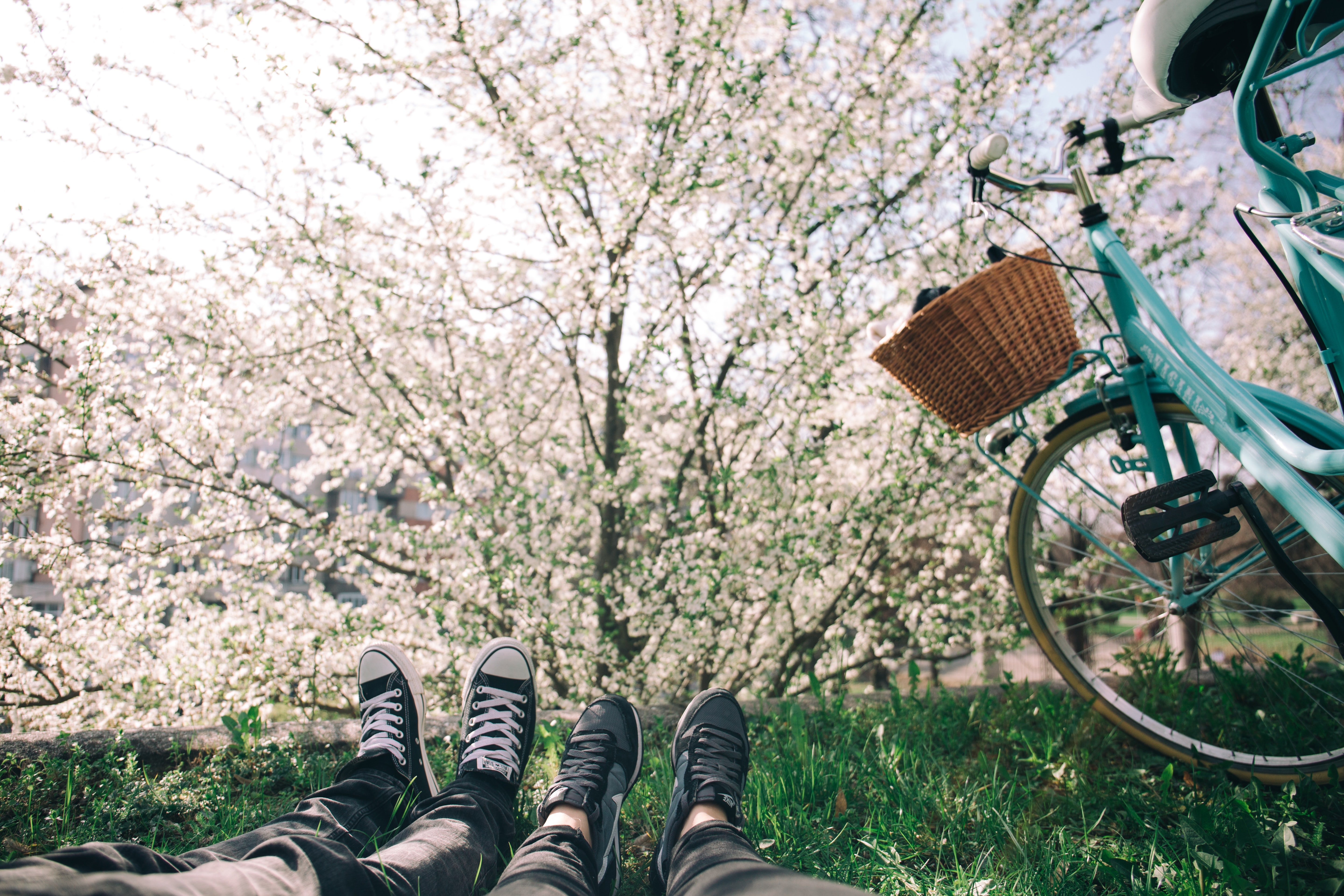 Image Credit: Unsplash / Alisa Anton