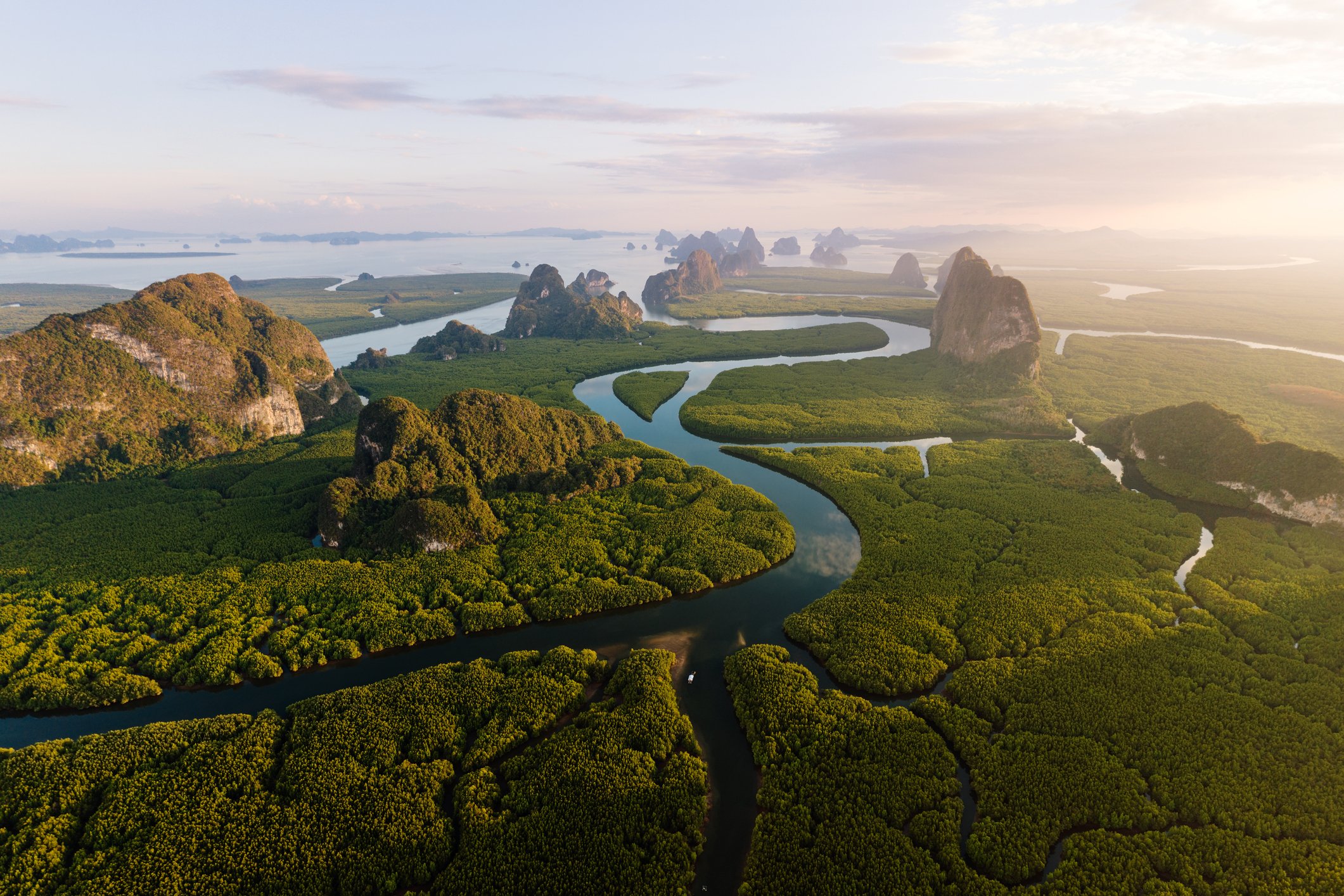Image Credit: Getty Images Image Credit: Getty Images