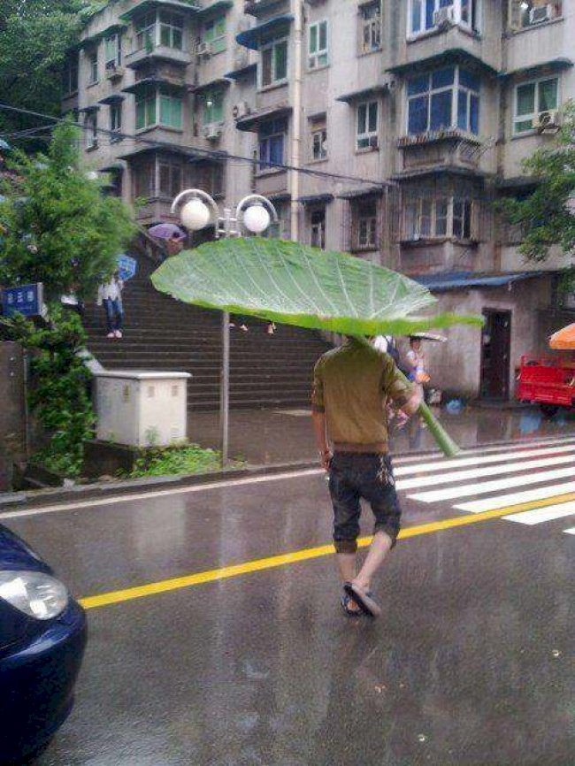 Créditos de imagen: KingOfLiars/Imgur Créditos de imagen: KingOfLiars/Imgur