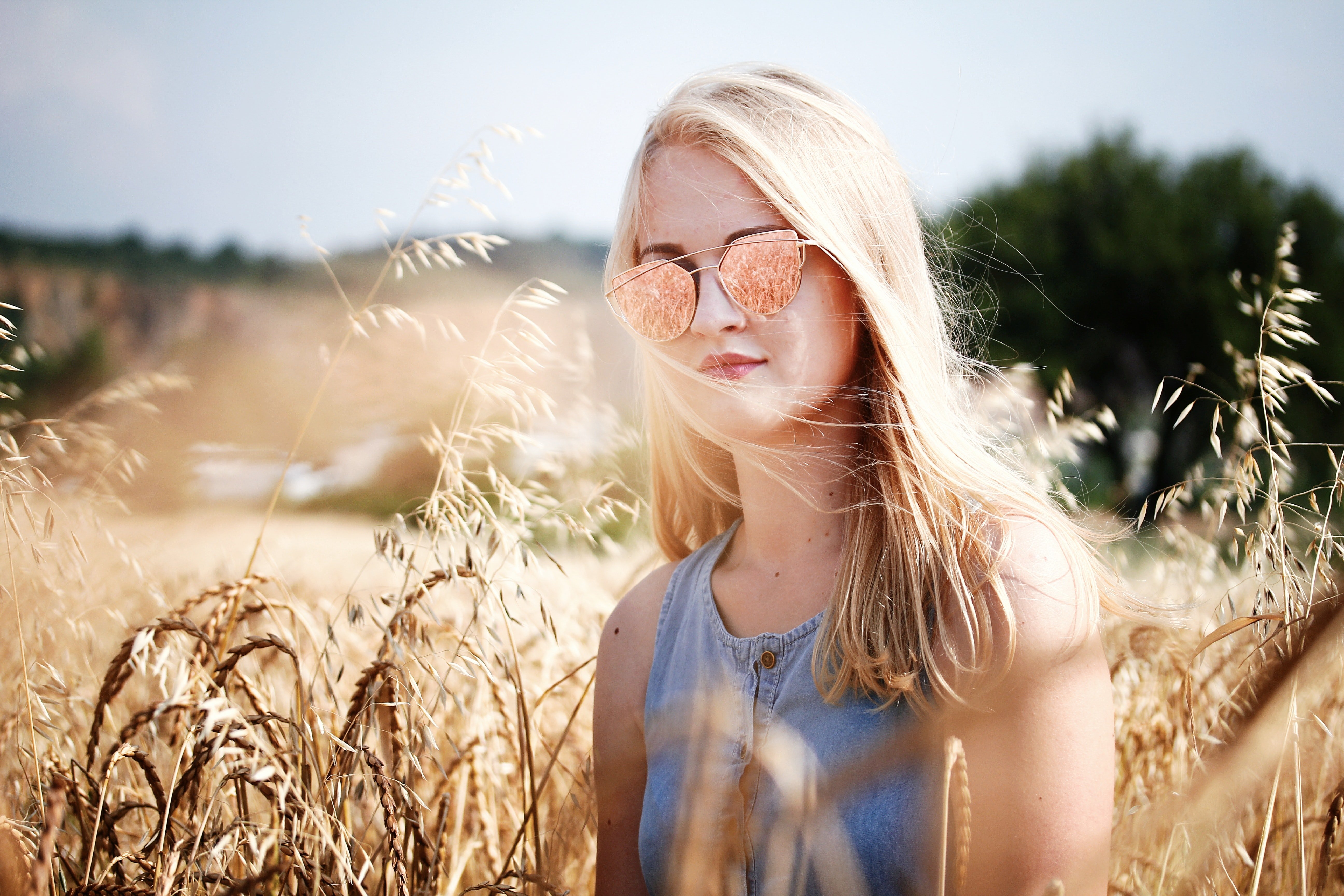 Image Credit: Pexels / Dominika Gregušová