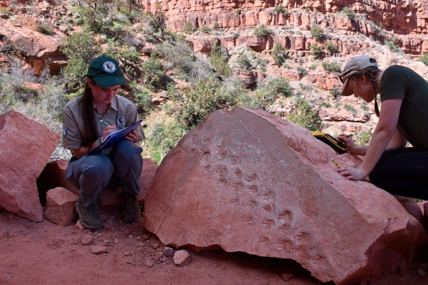 Experts Made This Startling Discovery In The Grand Canyon
