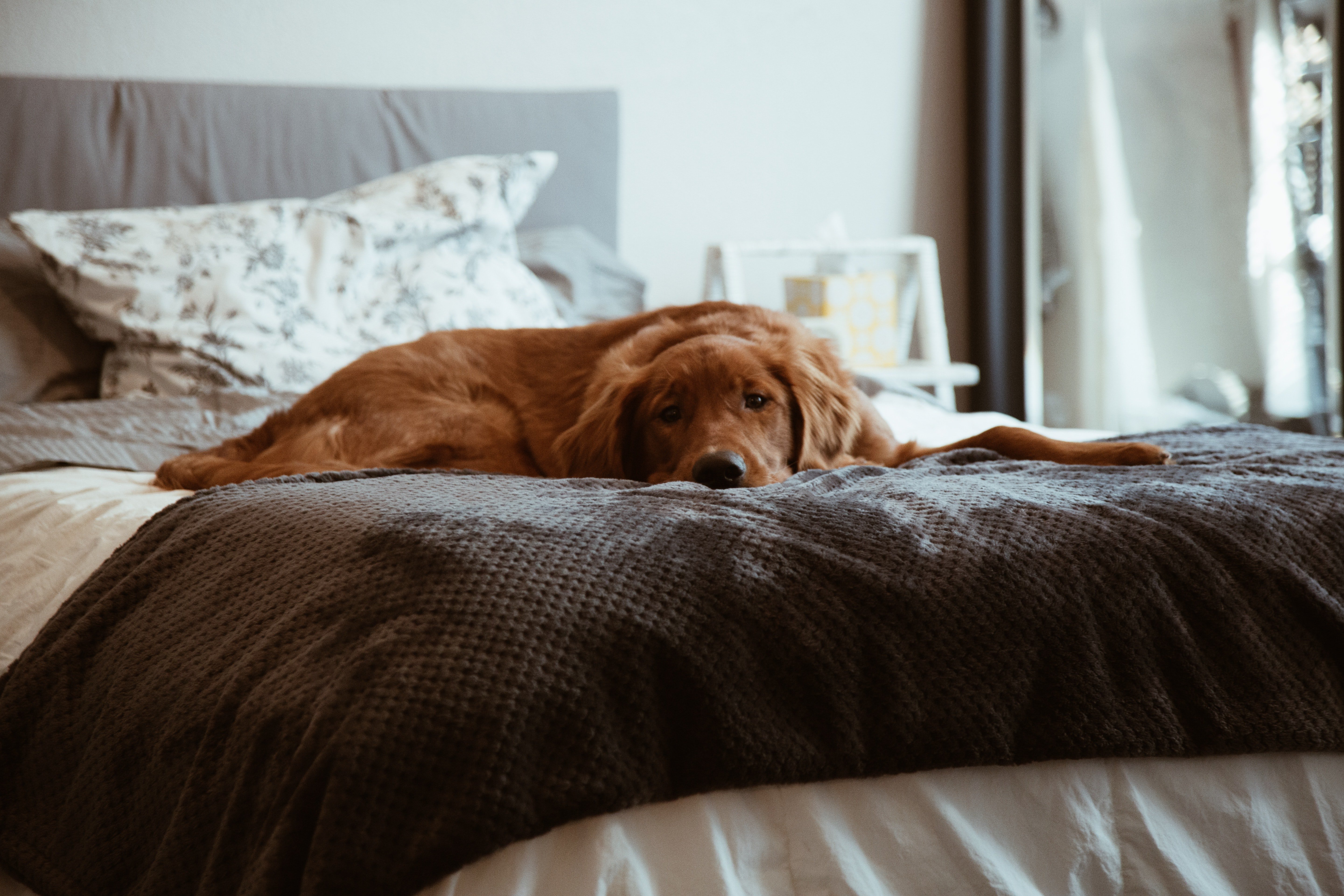 Imag Source: Unsplash/Conner Baker Imag Source: Unsplash/Conner Baker