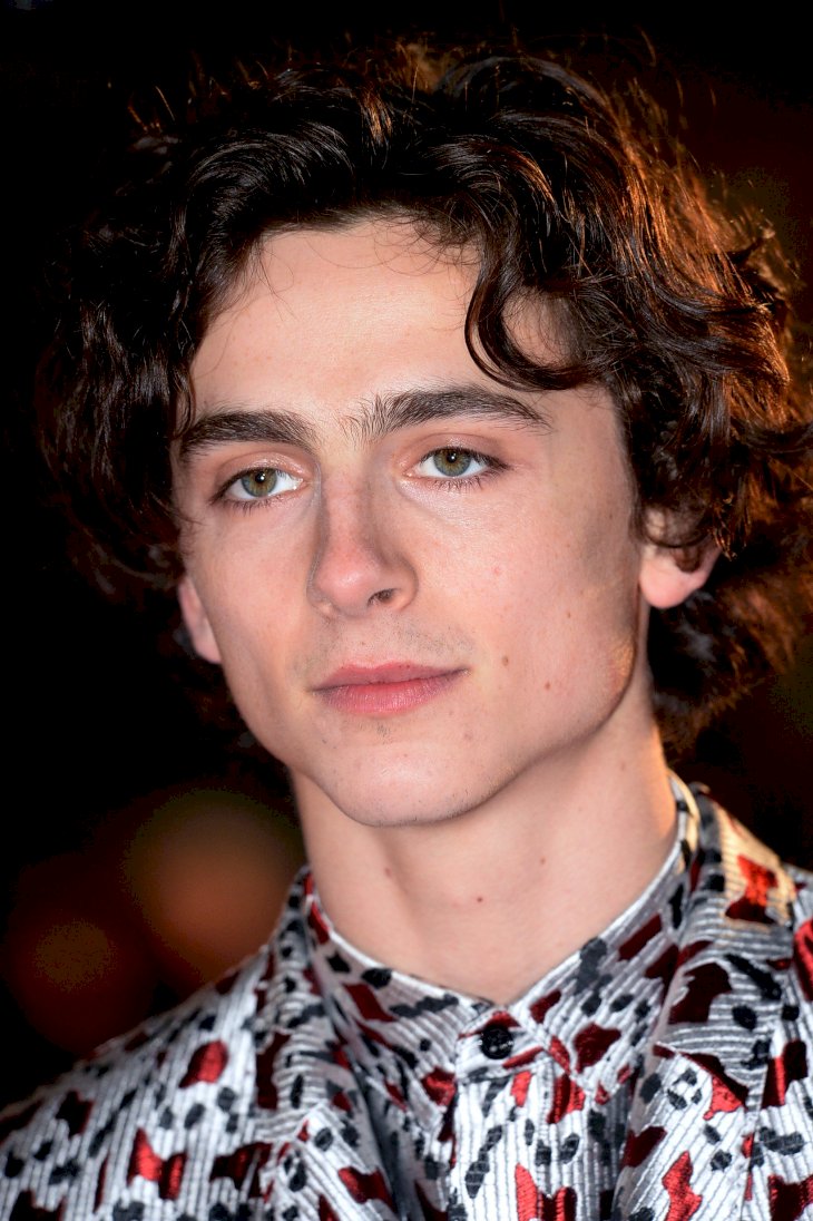 Image Credit: Getty Images / Timothee Chalamet on the red carpet.