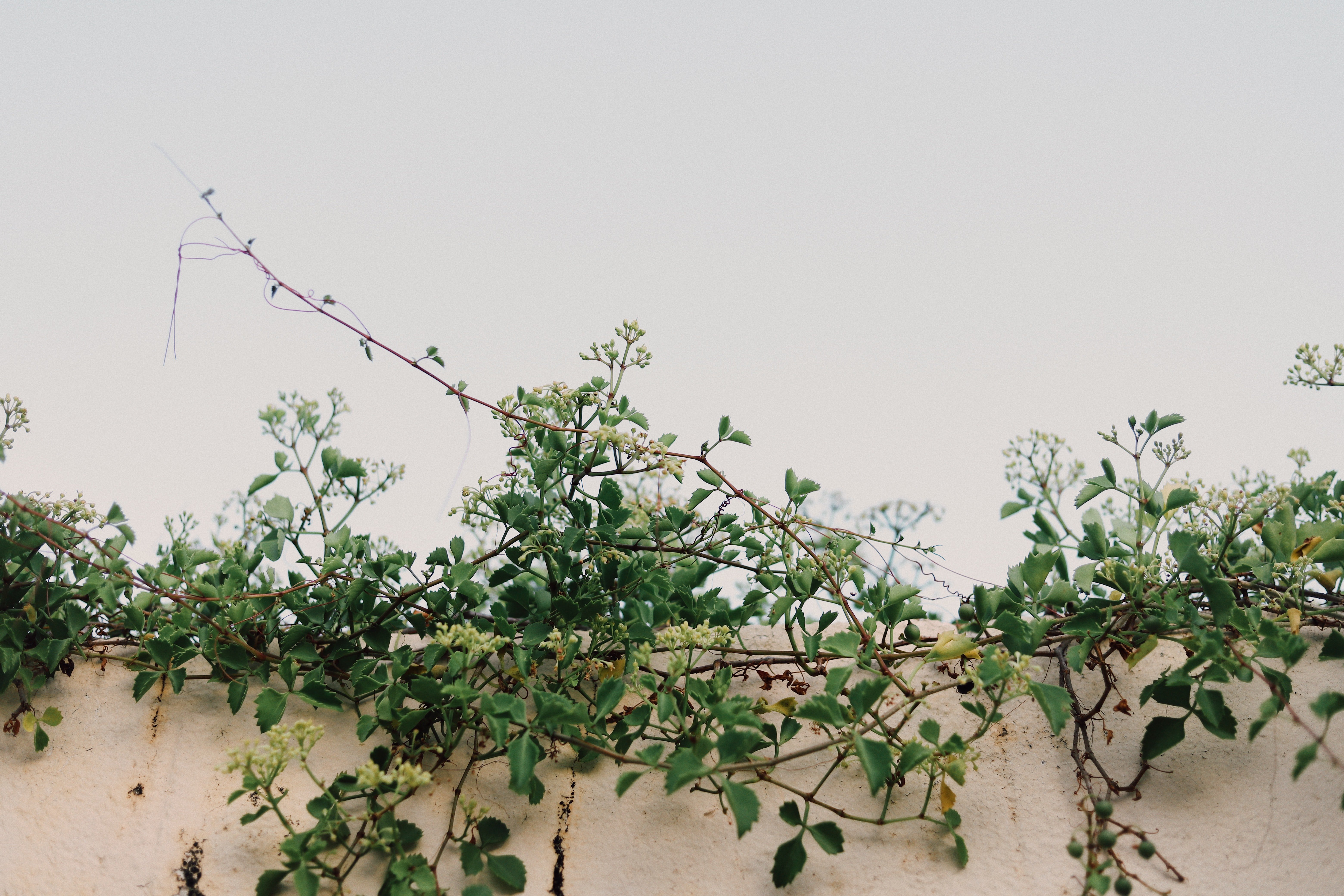 Image Source: Unsplash/Amy Humphries