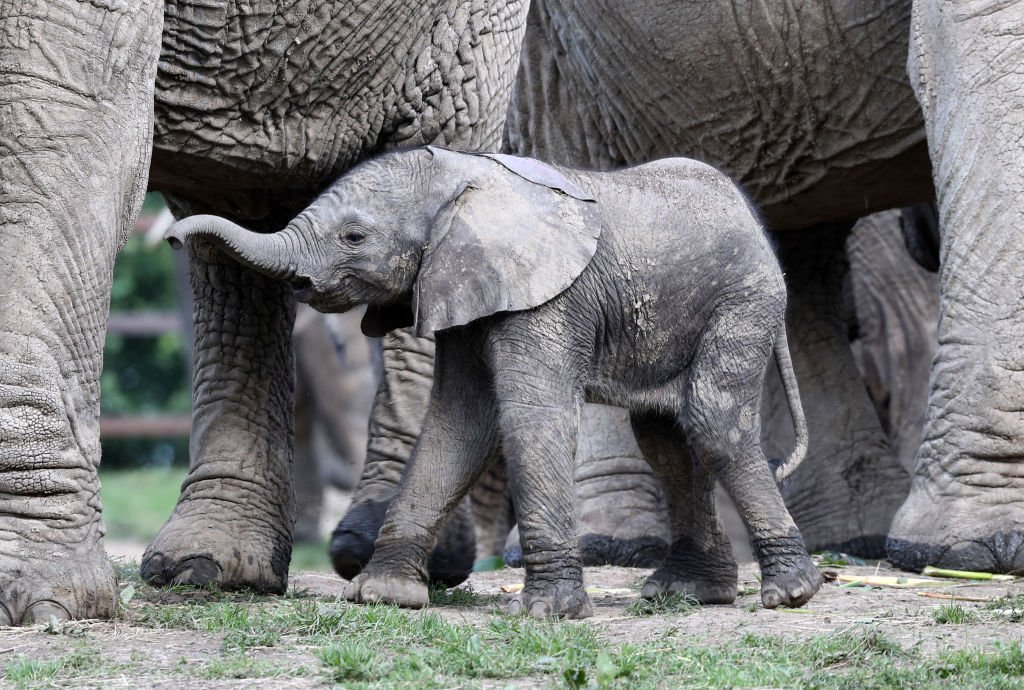Image Credit: Getty Images/PA Images/Gareth Fuller Image Credit: Getty Images/PA Images/Gareth Fuller