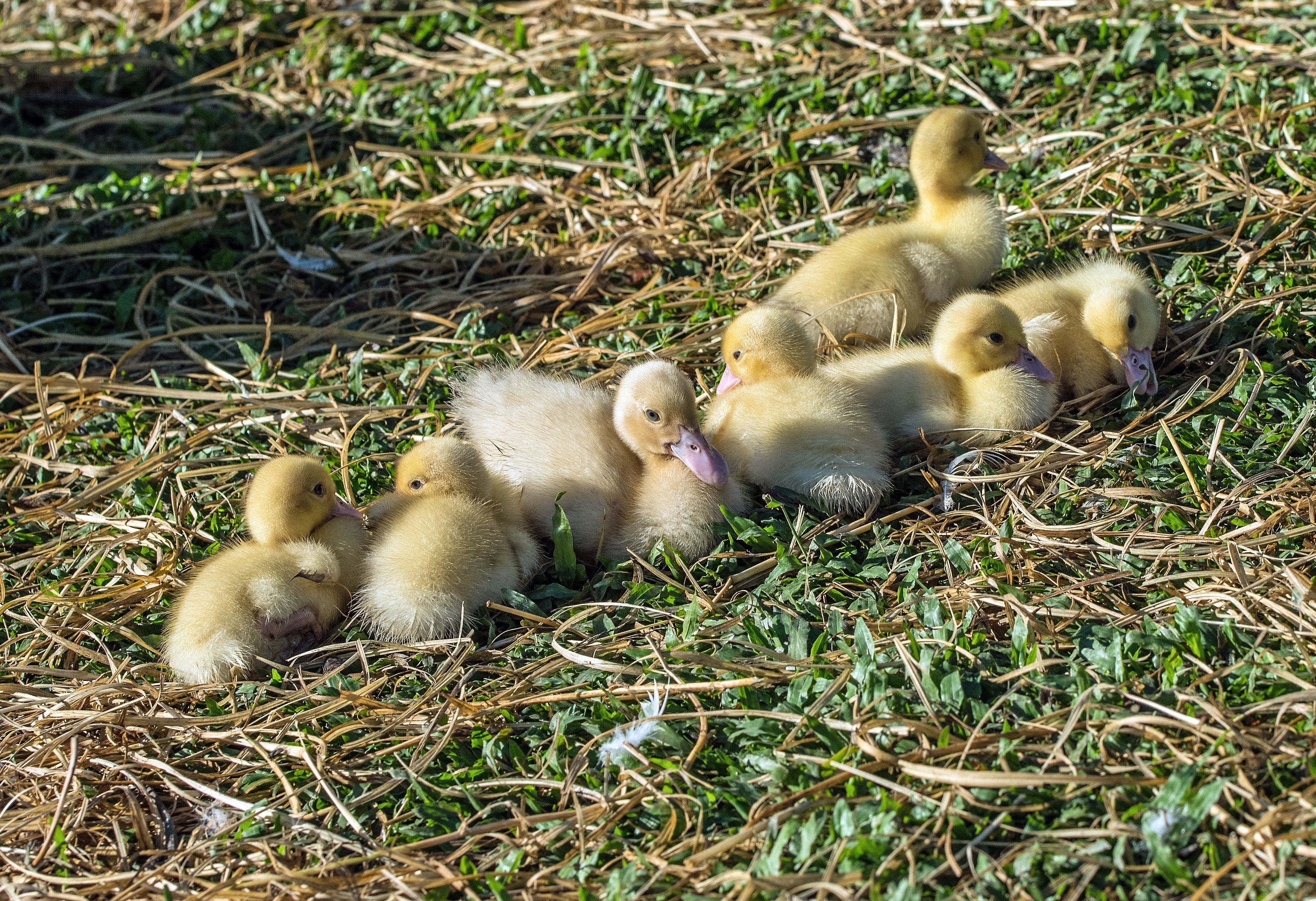 Photo by David Clode on Unsplash