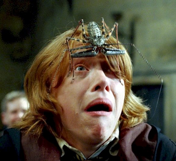Image credit: Instagram/harrypotterfilm Image credit: Instagram/harrypotterfilm