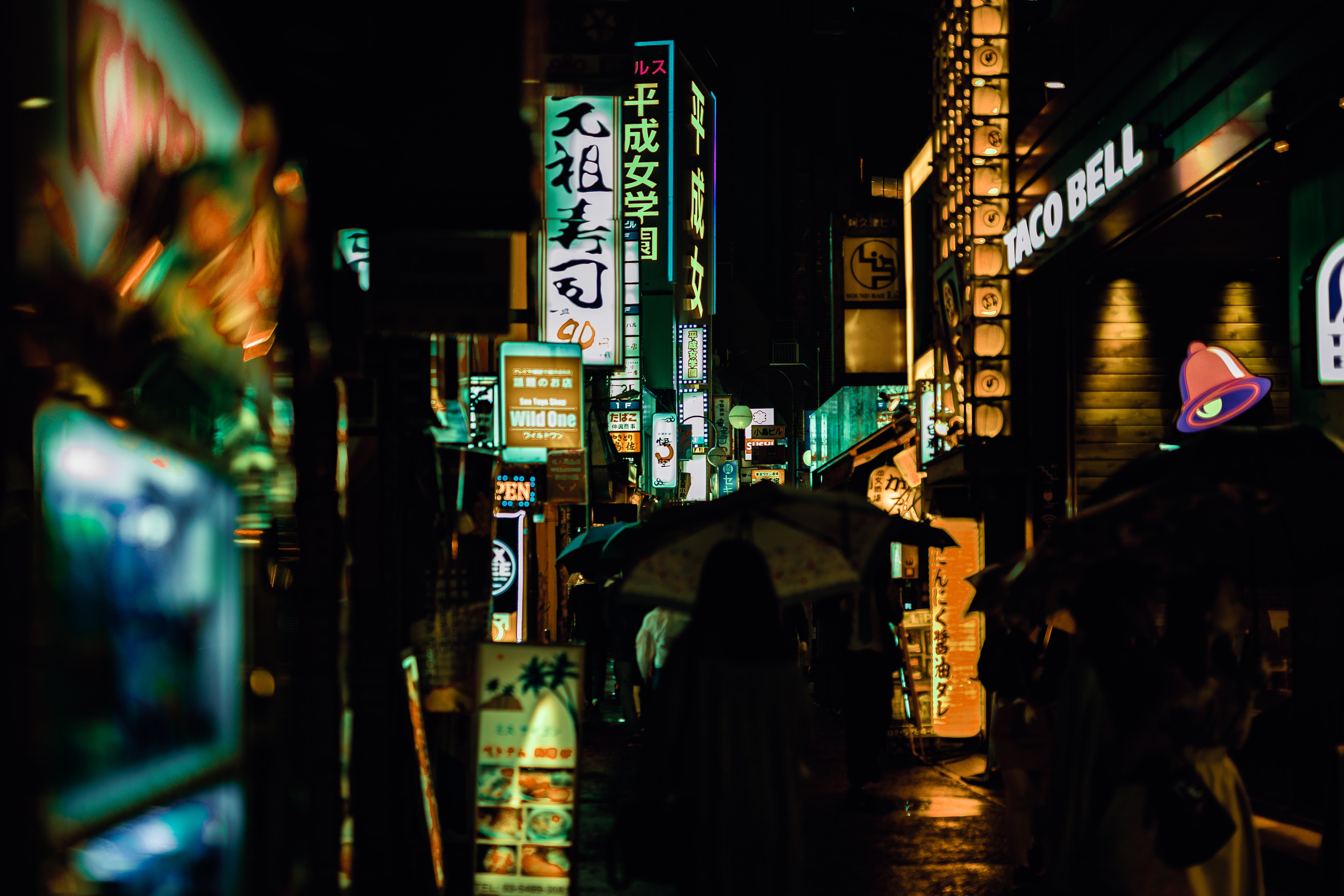 Image Source: Pexels Image Source: Pexels