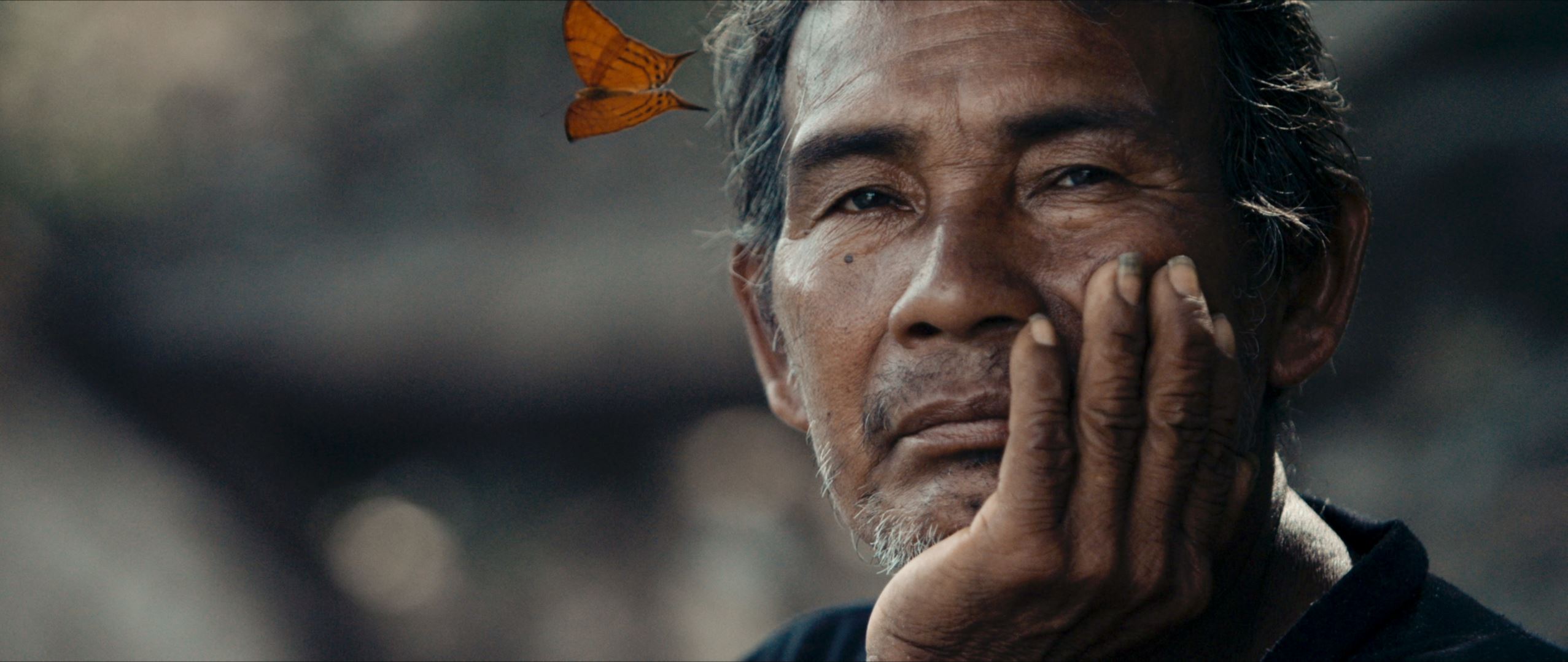 Image Credit: Facebook/Bruce Parry/Tawai: A Voice from the Forest Image Credit: Facebook/Bruce Parry/Tawai: A Voice from the Forest