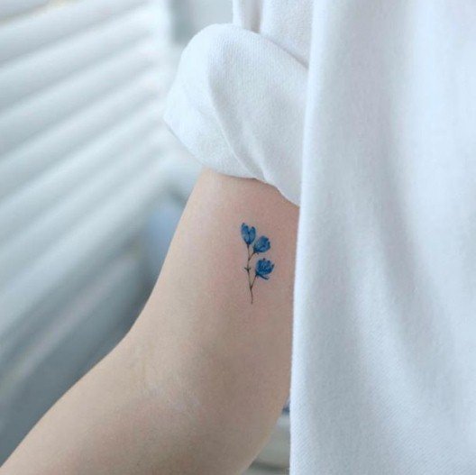 Crédito de imagen: Instagram/studiobysol Crédito de imagen: Instagram/studiobysol
