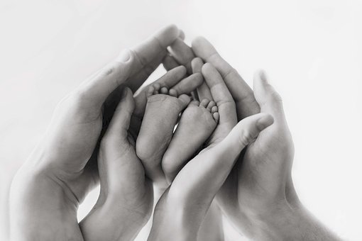 Crédito de imagen: Pixabay Crédito de imagen: Pixabay