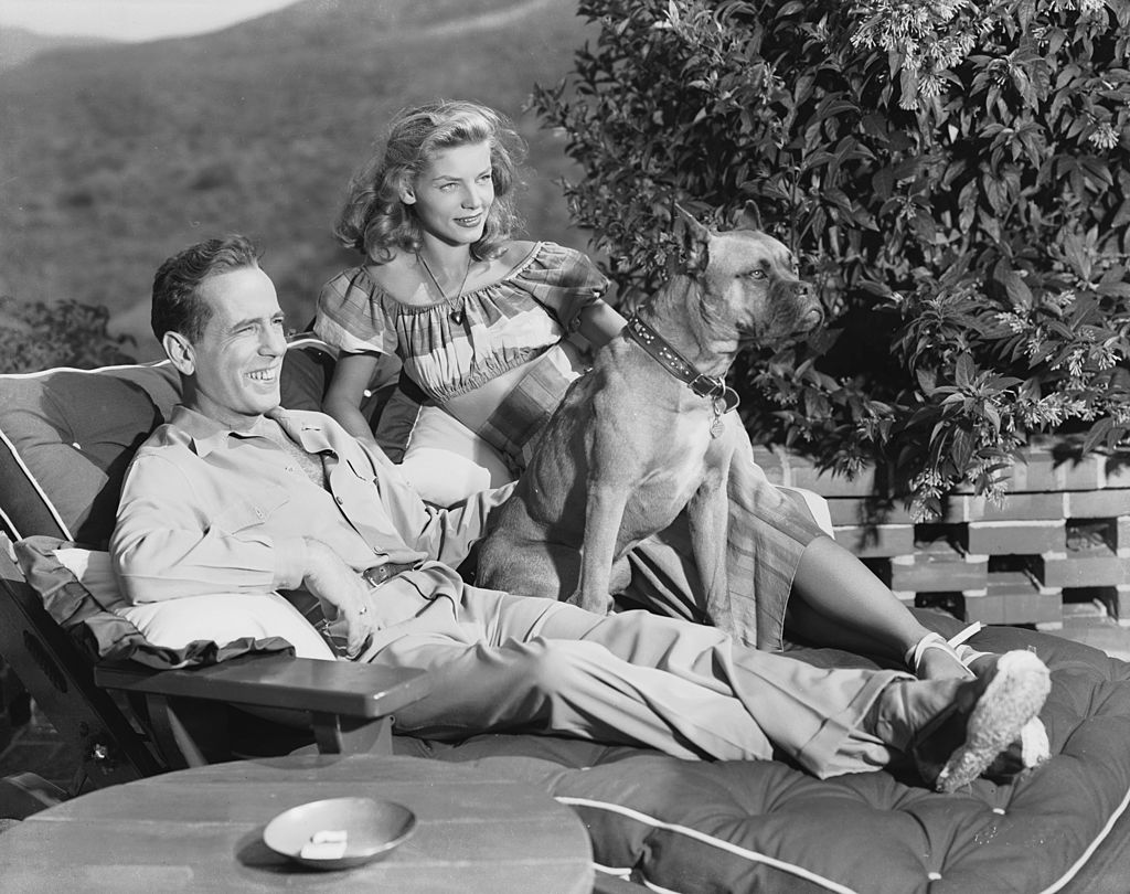 Image Credit: Getty Images Image Credit: Getty Images