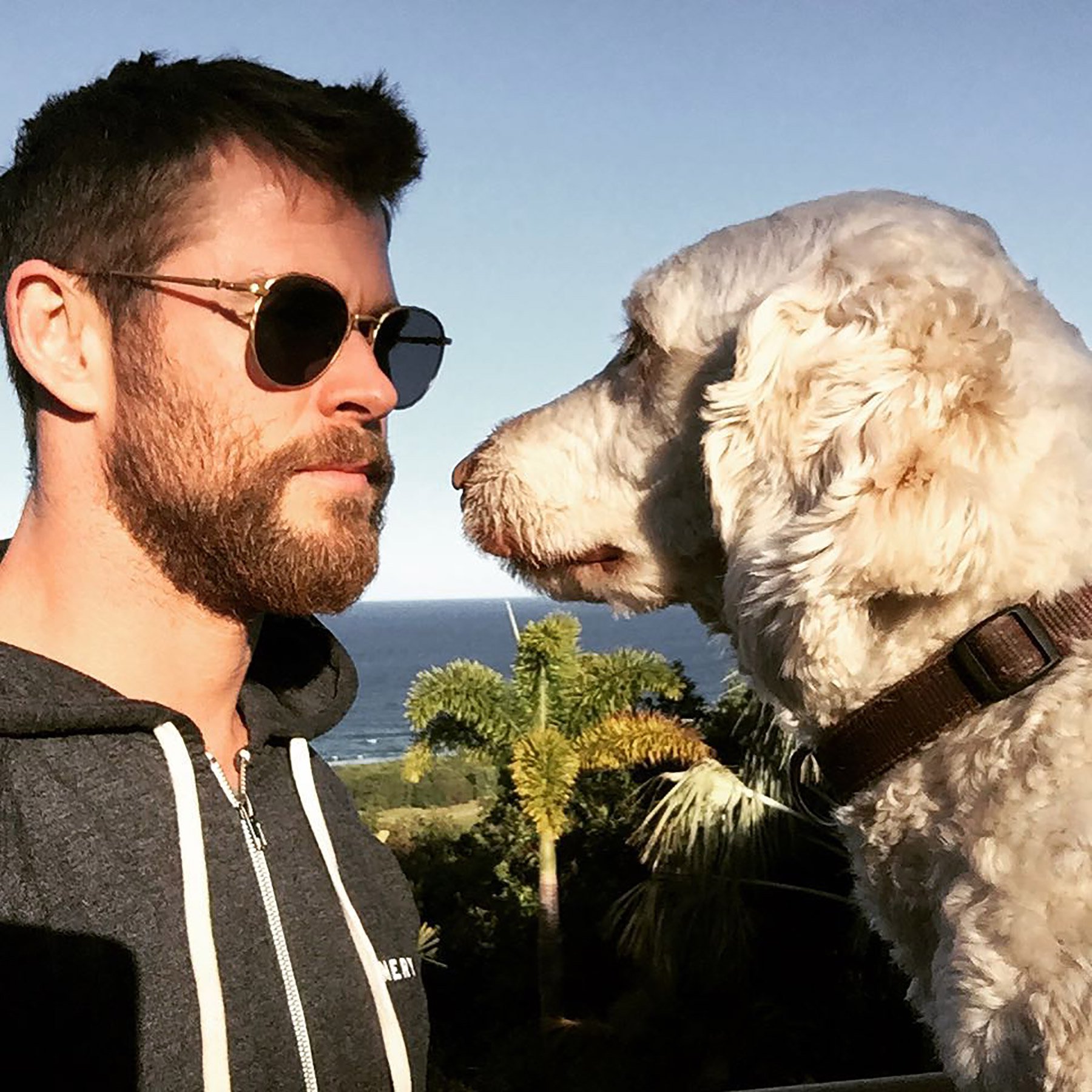 Image credits: Instagram/Chris Hemsworth Image credits: Instagram/Chris Hemsworth