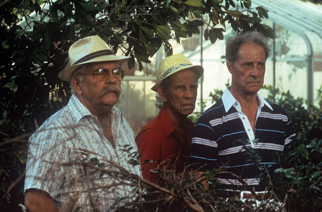 Image Source: Getty Images/Mondadori Portfolio| American actors Wilford Brimley, Hume Cronyn and Don Ameche acting in a greenhouse in the film Cocoon. 1985 Image Source: Getty Images/Mondadori Portfolio| American actors Wilford Brimley, Hume Cronyn and Don Ameche acting in a greenhouse in the film Cocoon. 1985