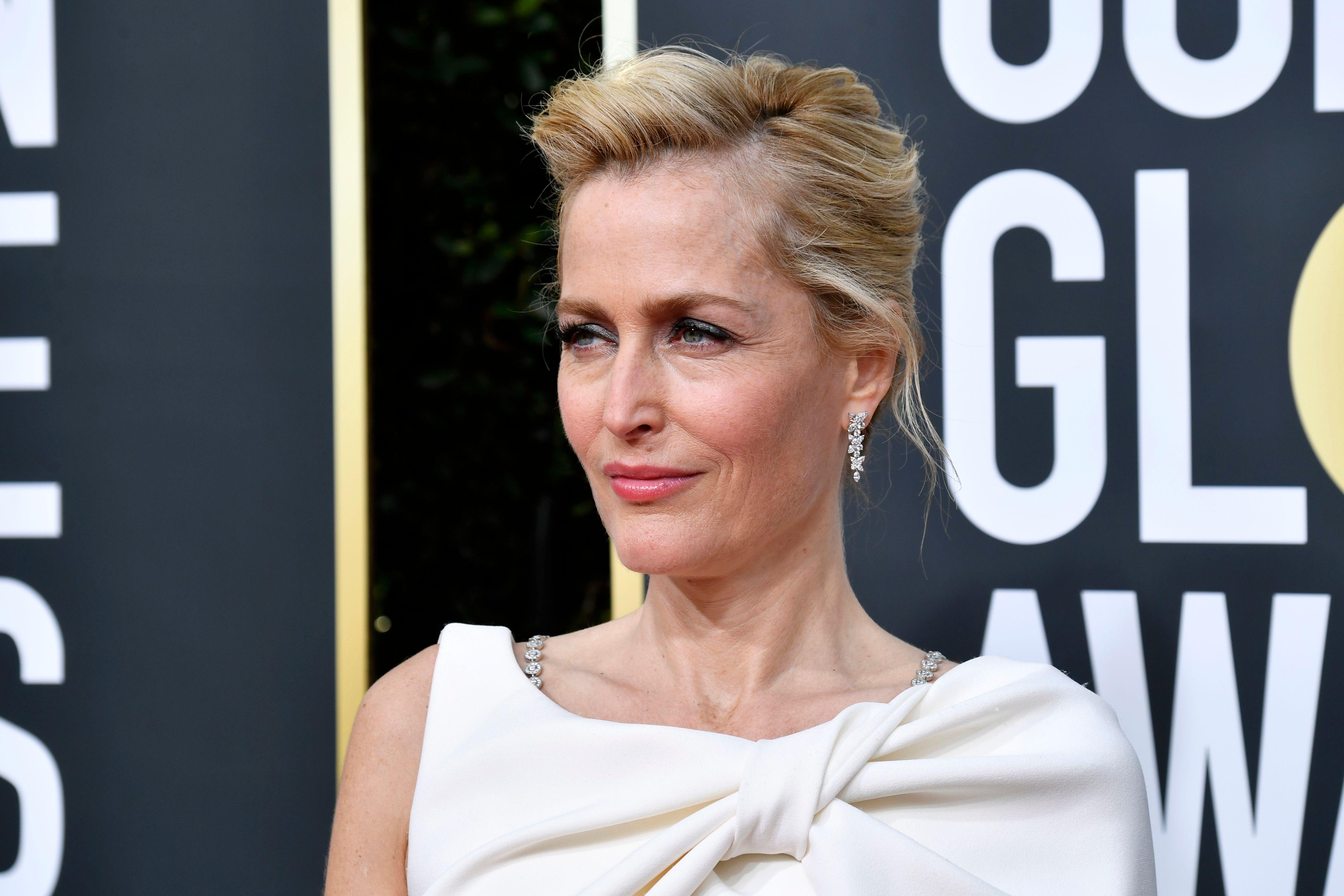 Gillian Anderson: Diving Into Her Private Life