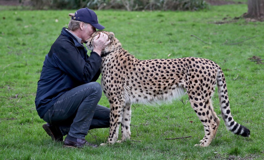 Image Credit: Getty Images/PA Images/Gareth Fuller Image Credit: Getty Images/PA Images/Gareth Fuller