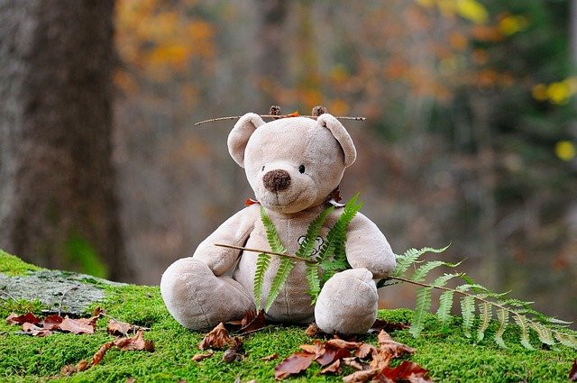 Image Credit: Pixabay