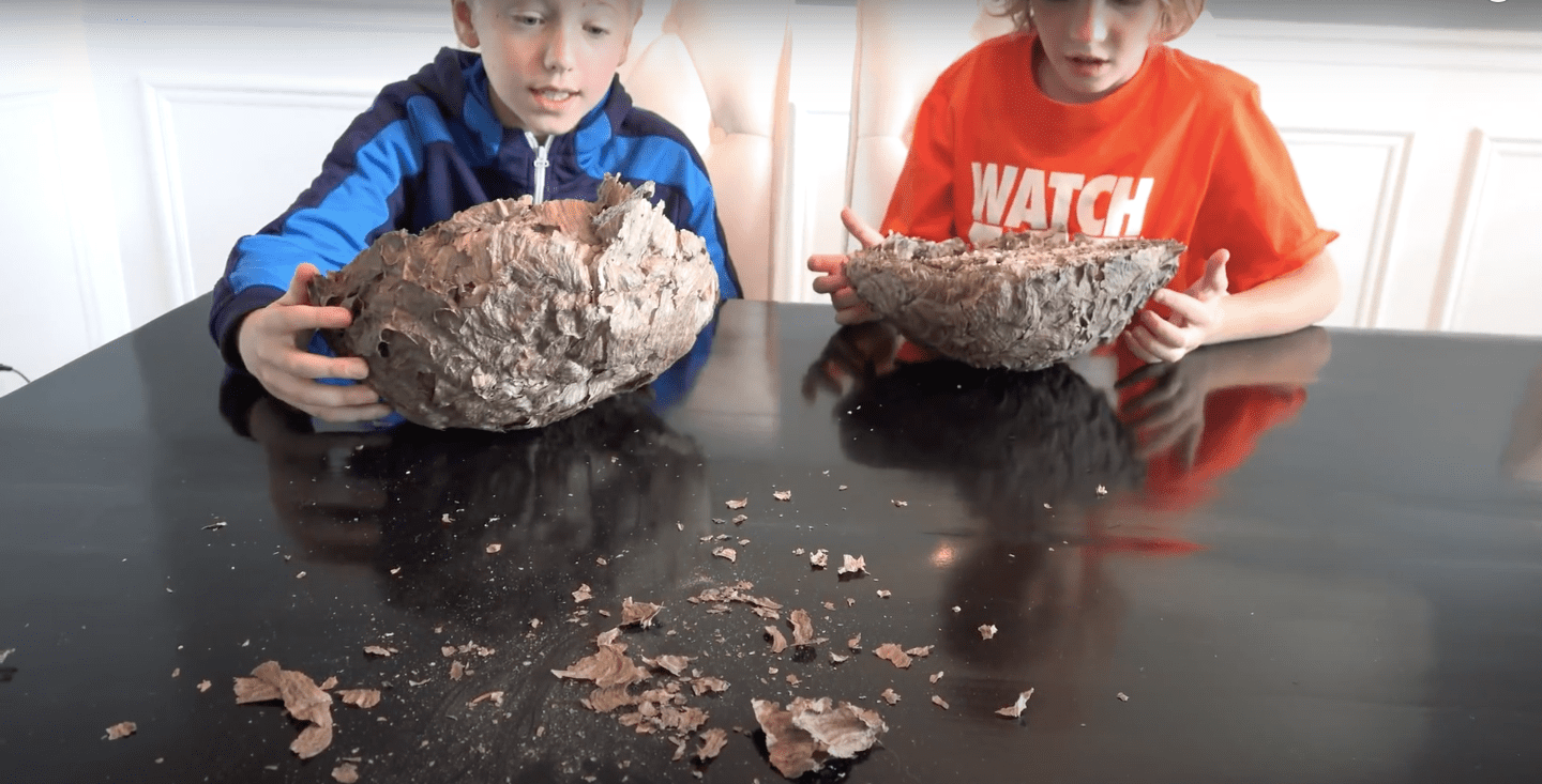Image Credit: YouTube/What's Inside? Image Credit: YouTube/What's Inside?