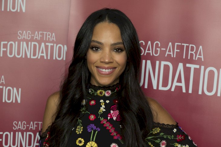 Image Credit: Getty Images / Bianca Lawson at an event.