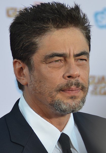 Wikipedia/Benicio Del Toro - Guardians of the Galaxy premiere - July 2014 (cropped) Wikipedia/Benicio Del Toro - Guardians of the Galaxy premiere - July 2014 (cropped)