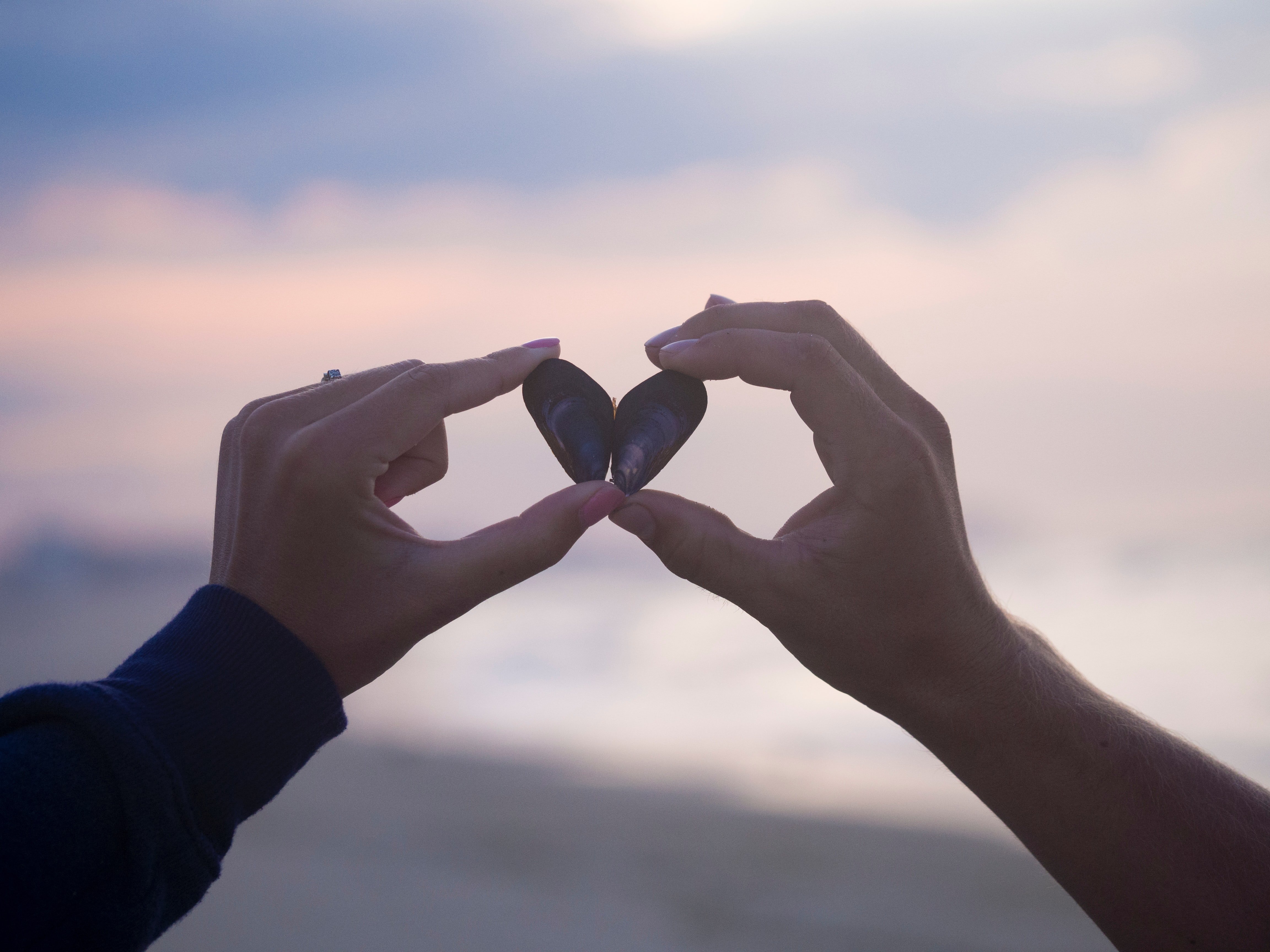 Image Credit: Unsplash / Aaron Burden Image Credit: Unsplash / Aaron Burden