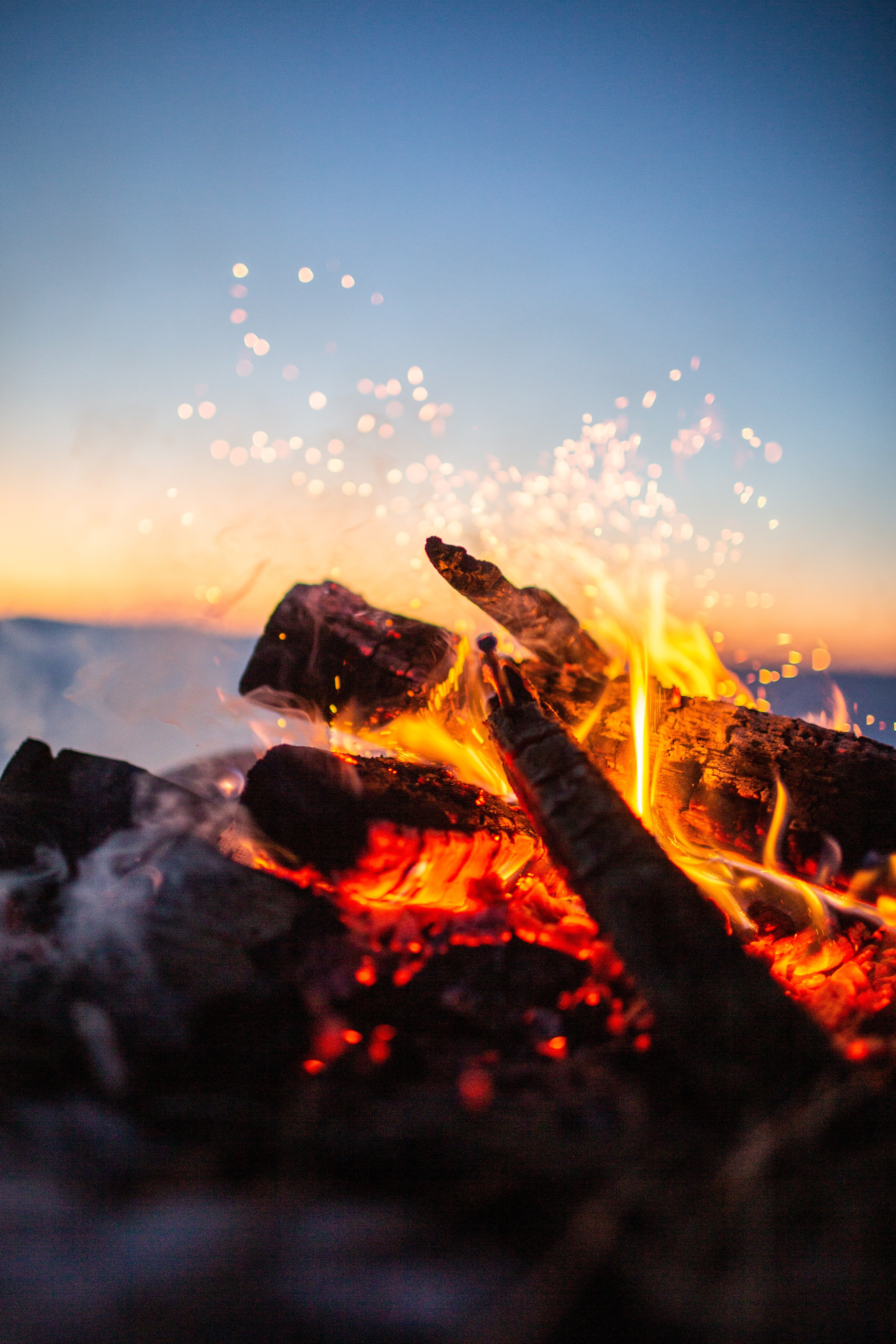 Image Source: Unsplash/Benjamin DeYoung
