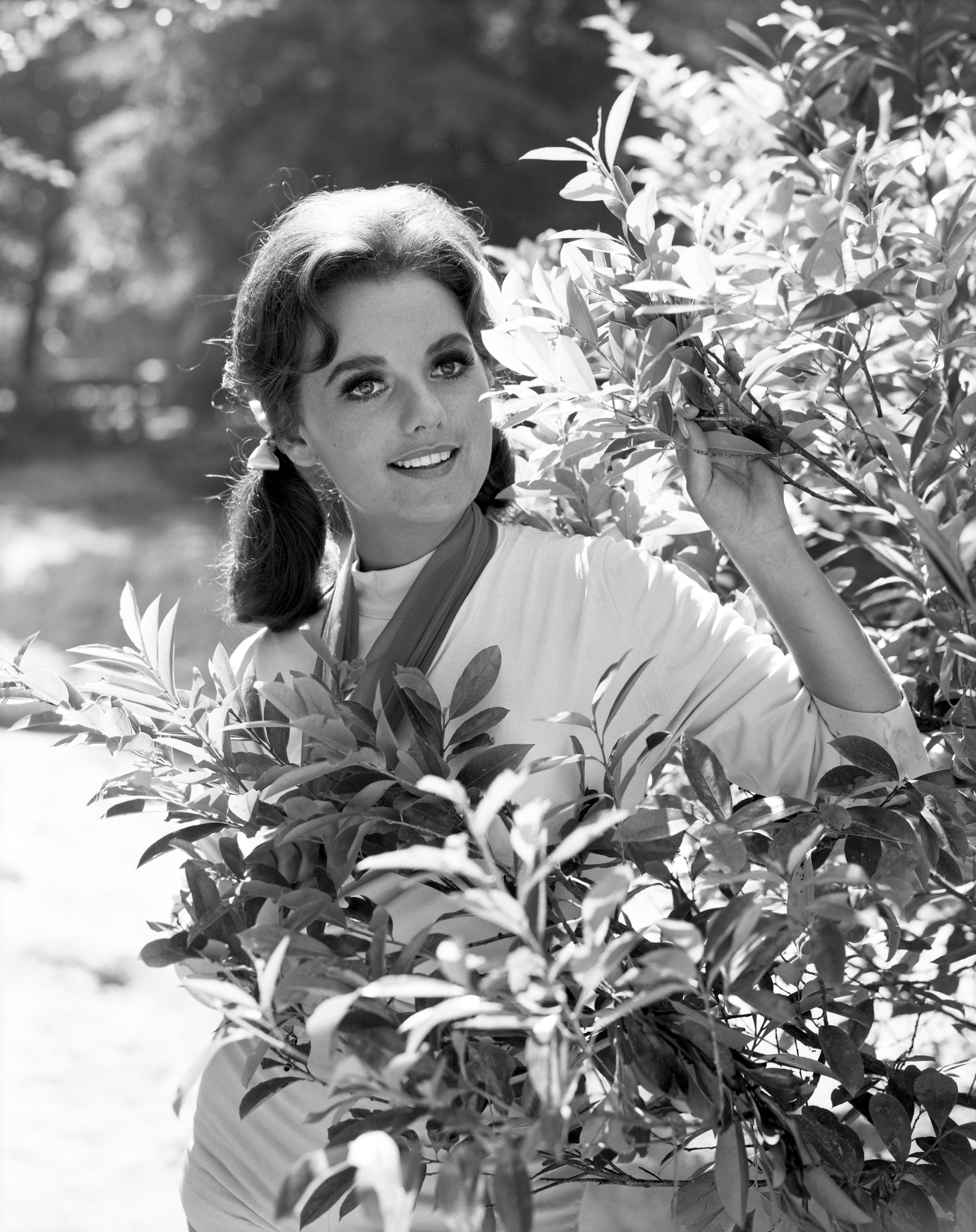 Image Source: Getty Images/Photo of Dawn Wells
