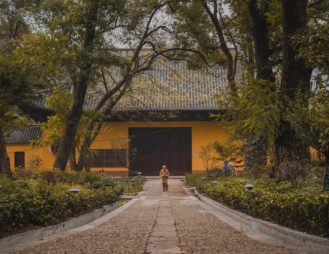 Image Credit: Unsplash Image Credit: Unsplash