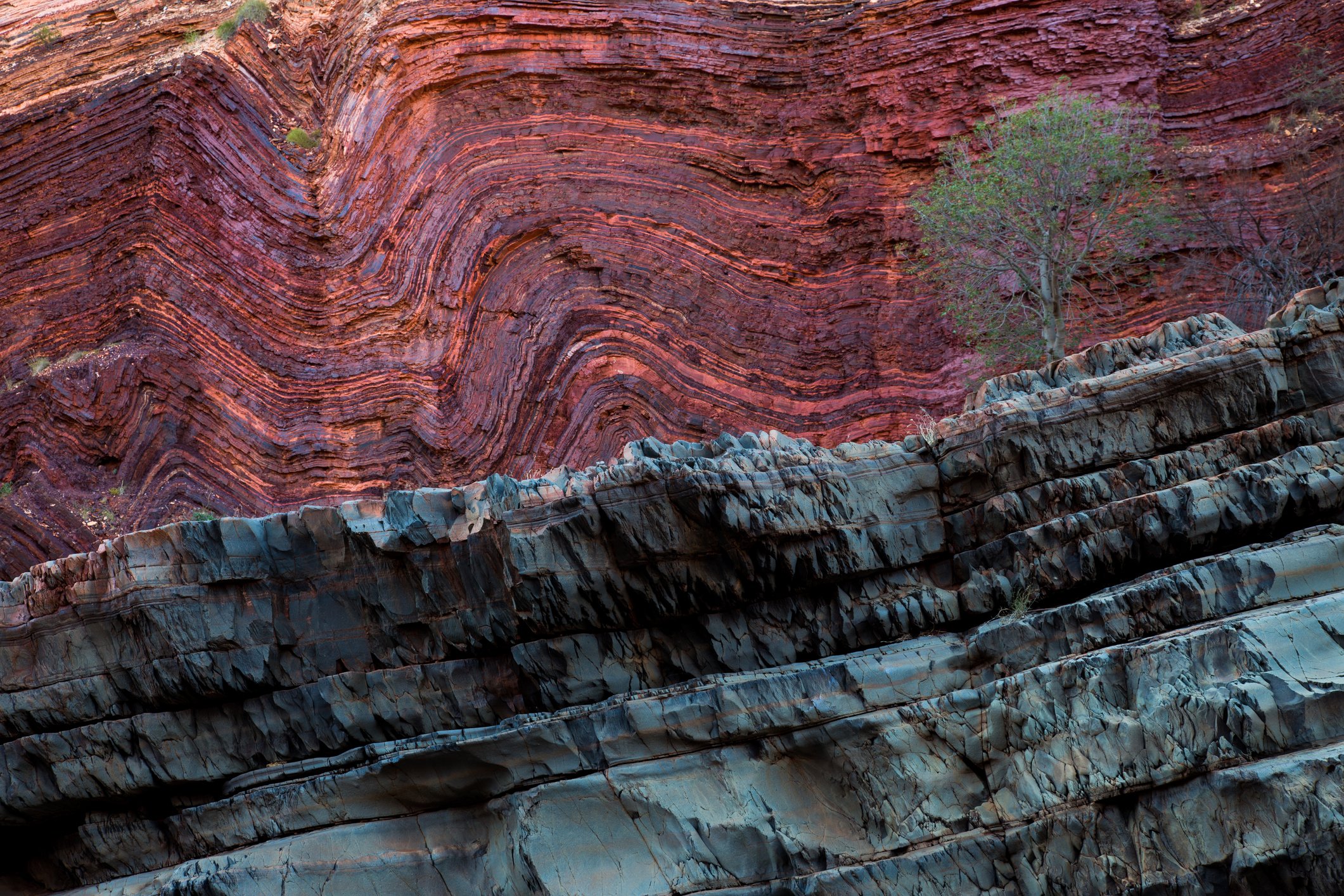Image Credit: Getty Images/Eye Em/Kay Honer Image Credit: Getty Images/Eye Em/Kay Honer