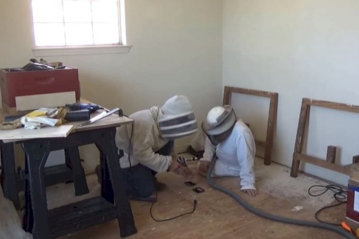 Image Credit: YouTube/Jeff_Horchoff_Bees