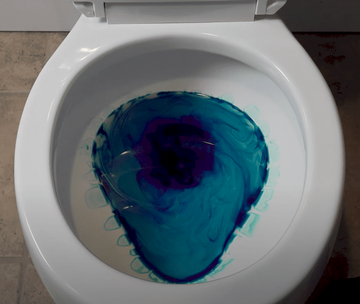 Put Dish Soap in Your Toilet Watch What Happens