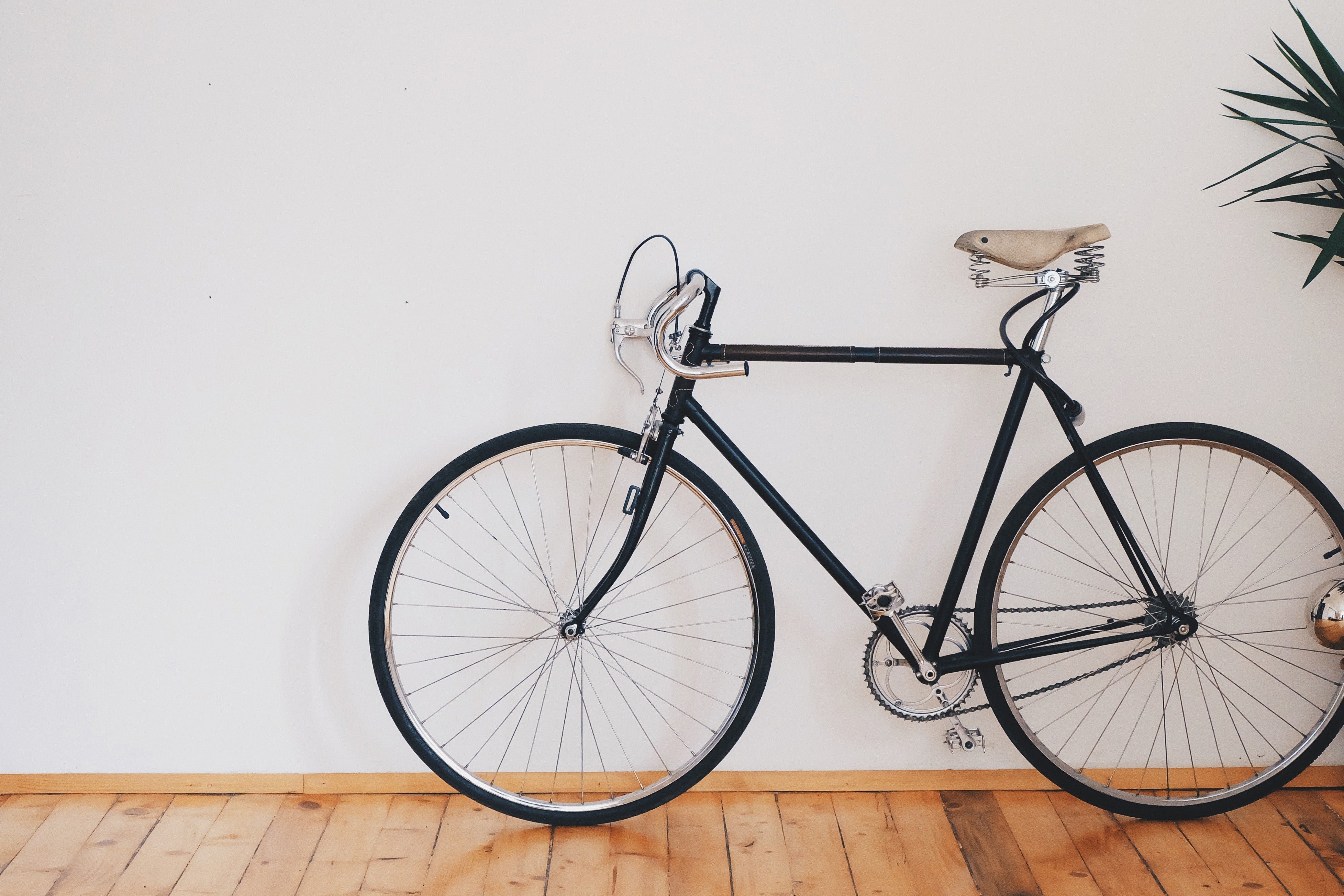 Image Source: Pexels