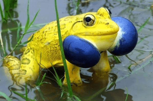 Créditos de imagen: twitter/tugayaktas10 Créditos de imagen: twitter/tugayaktas10