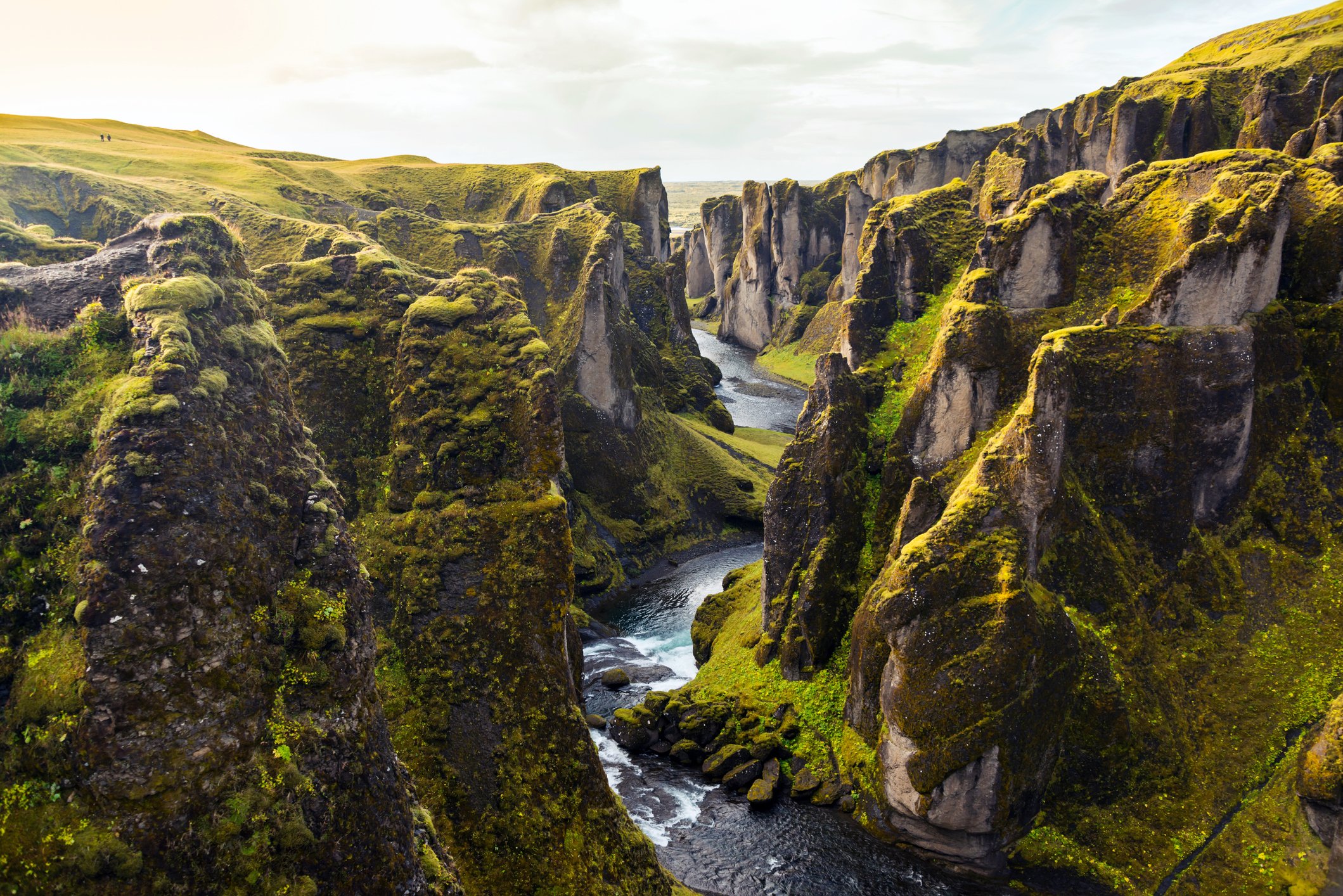 Image Credit: Getty Images Image Credit: Getty Images