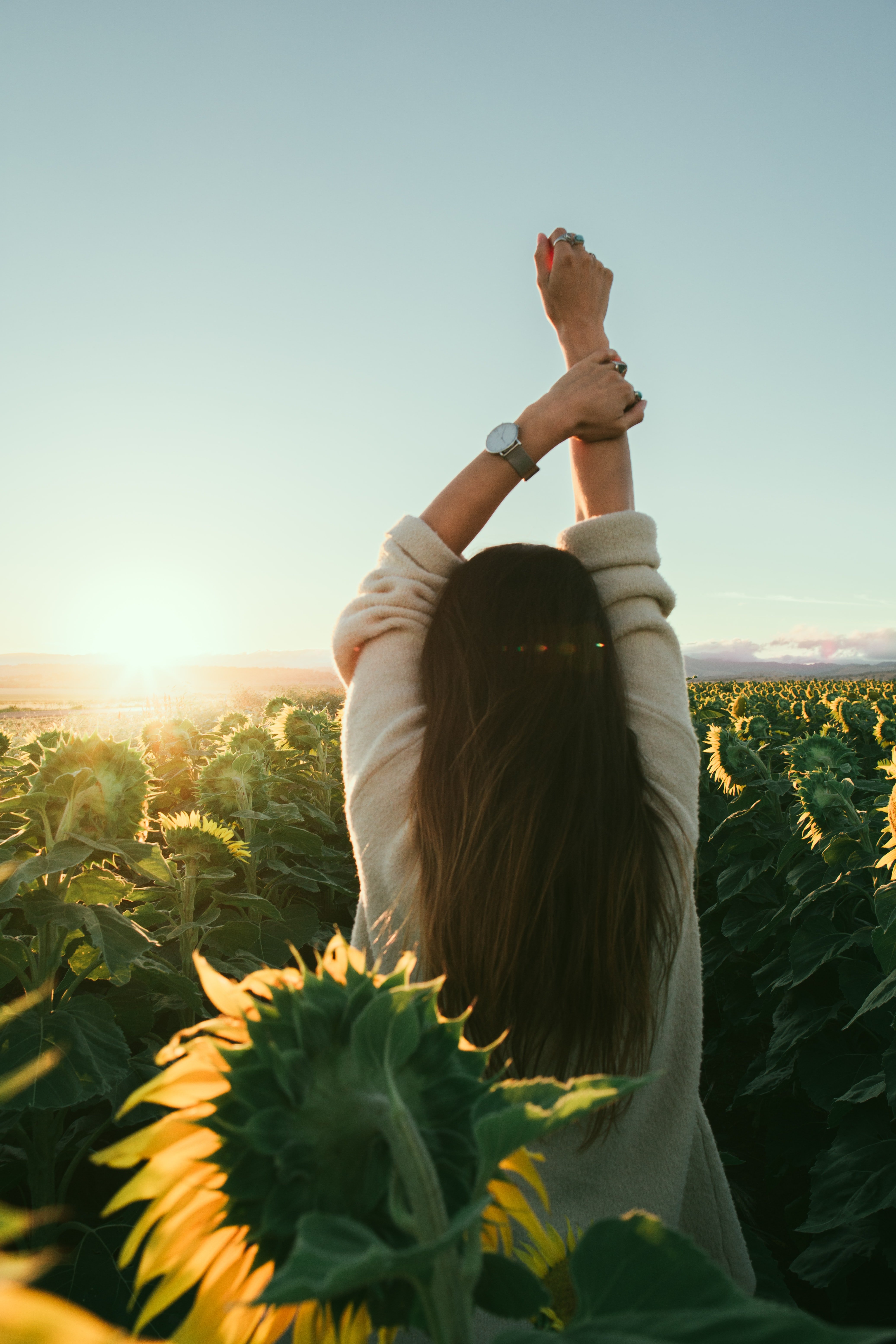 Image Source: Unsplash/Rowan Chestnut