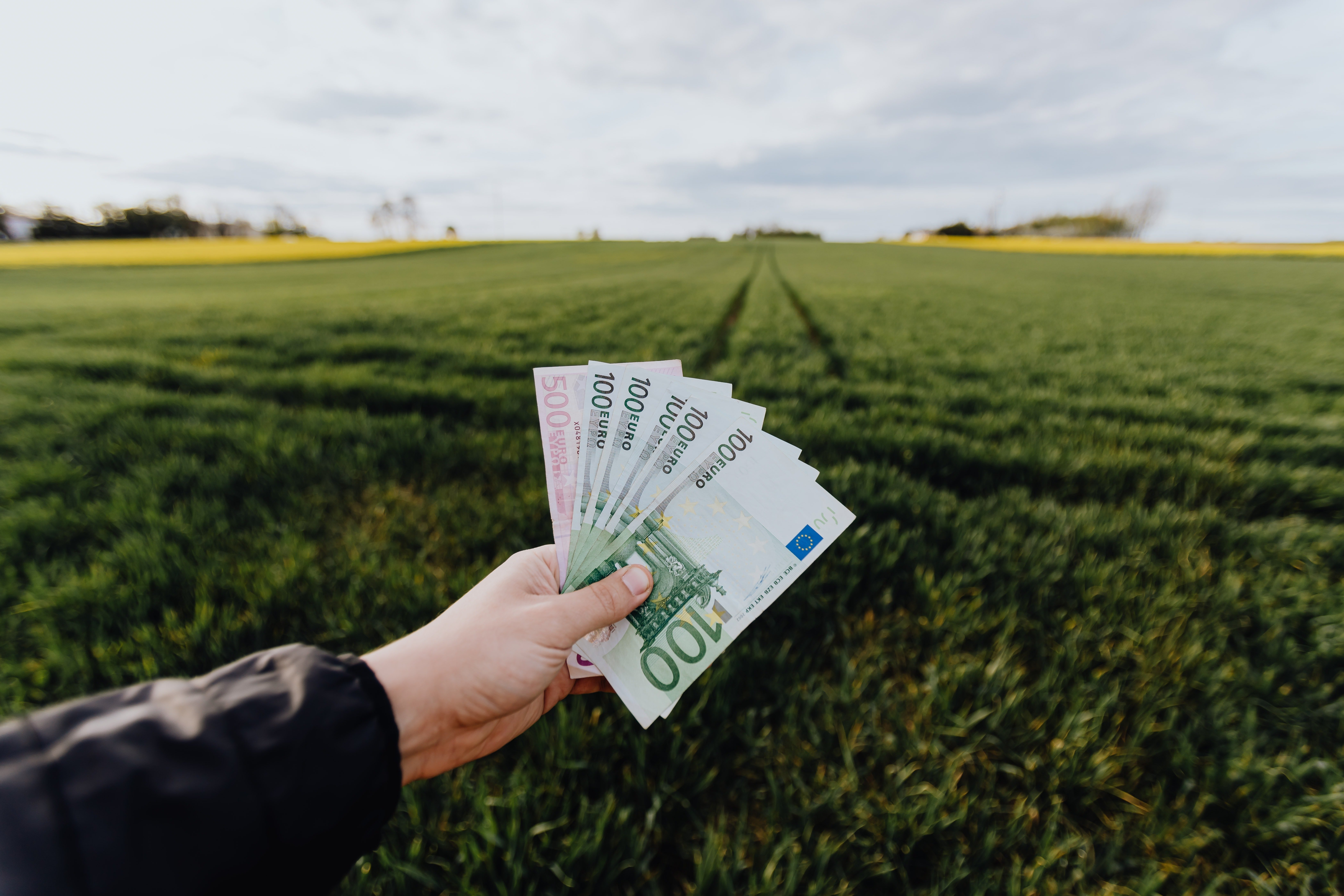 Image Credit: Pexels / Karolina Grabowska Image Credit: Pexels / Karolina Grabowska