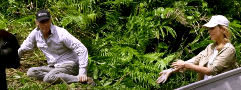 Image Credit: YouTube/Aspinall Foundation Image Credit: YouTube/Aspinall Foundation