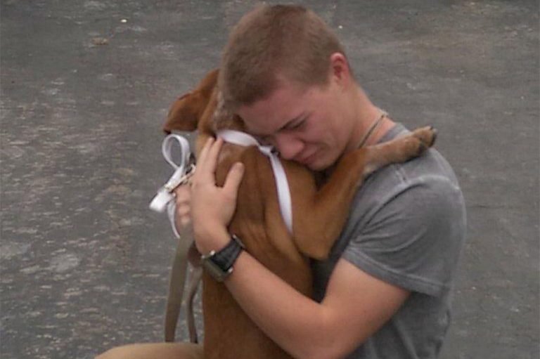 30+ Adorable Photos of Dogs With Their New Owners