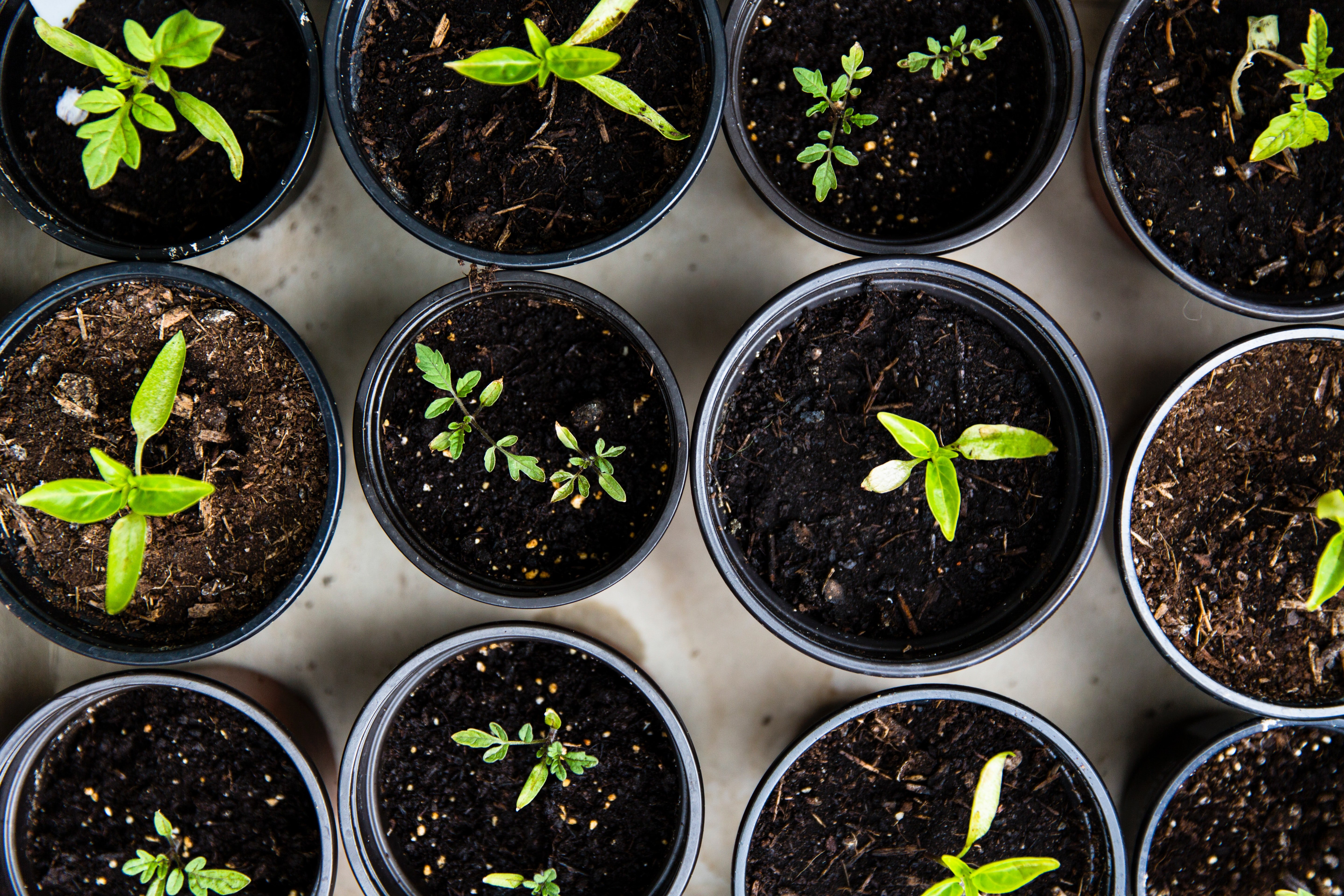 Image Source: Unsplash/Markus Spiske