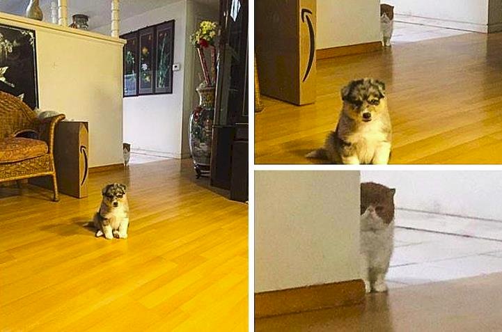 Créditos de imagen: Reddit/Present_Obligation Créditos de imagen: Reddit/Present_Obligation