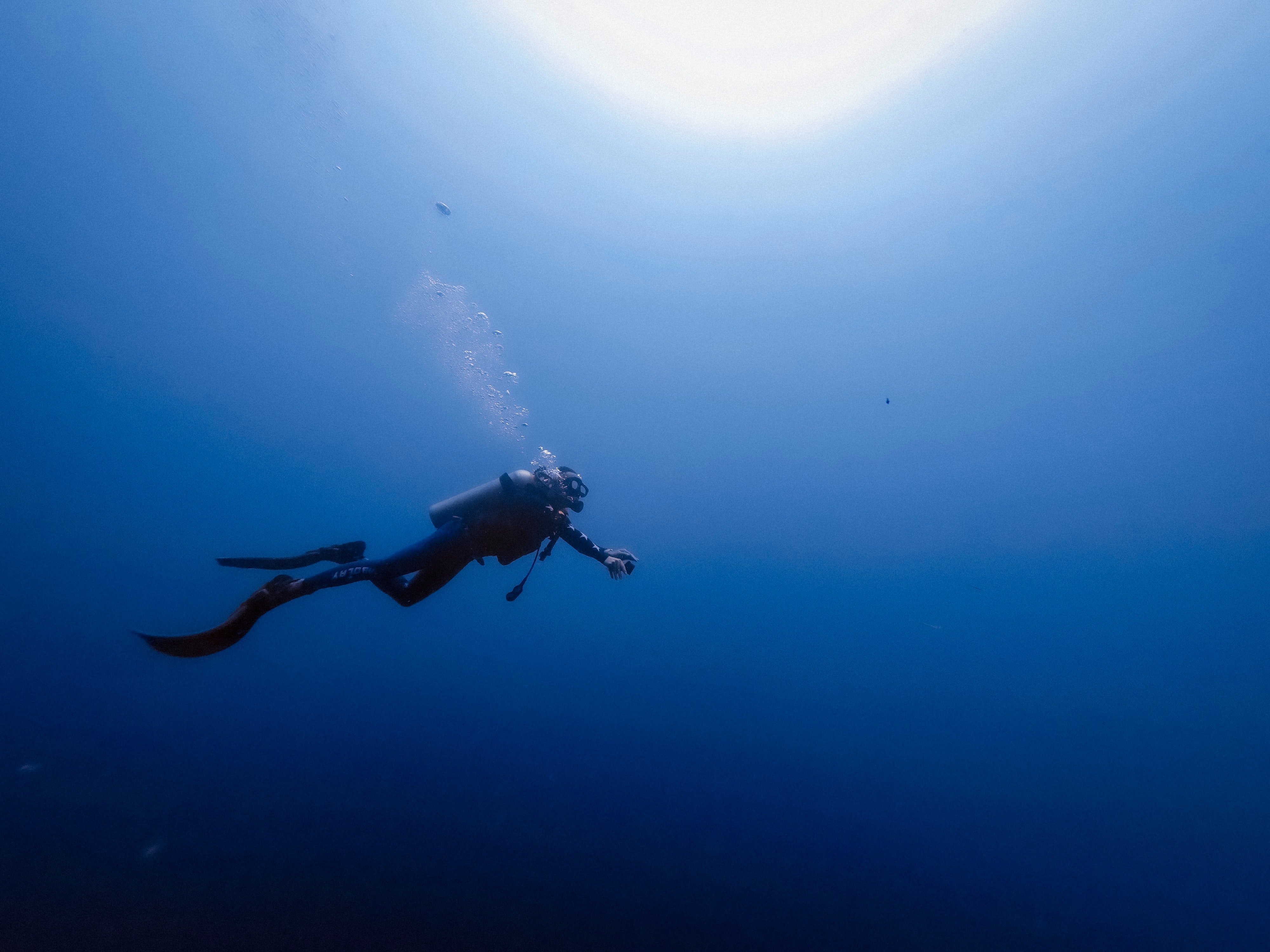Image Source: Unsplash/Bobbi Wu/For Illustrative Purpose Image Source: Unsplash/Bobbi Wu/For Illustrative Purpose
