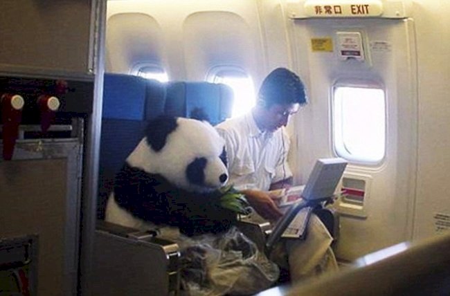 Crédito de imagen: Imgur/DKwando Crédito de imagen: Imgur/DKwando