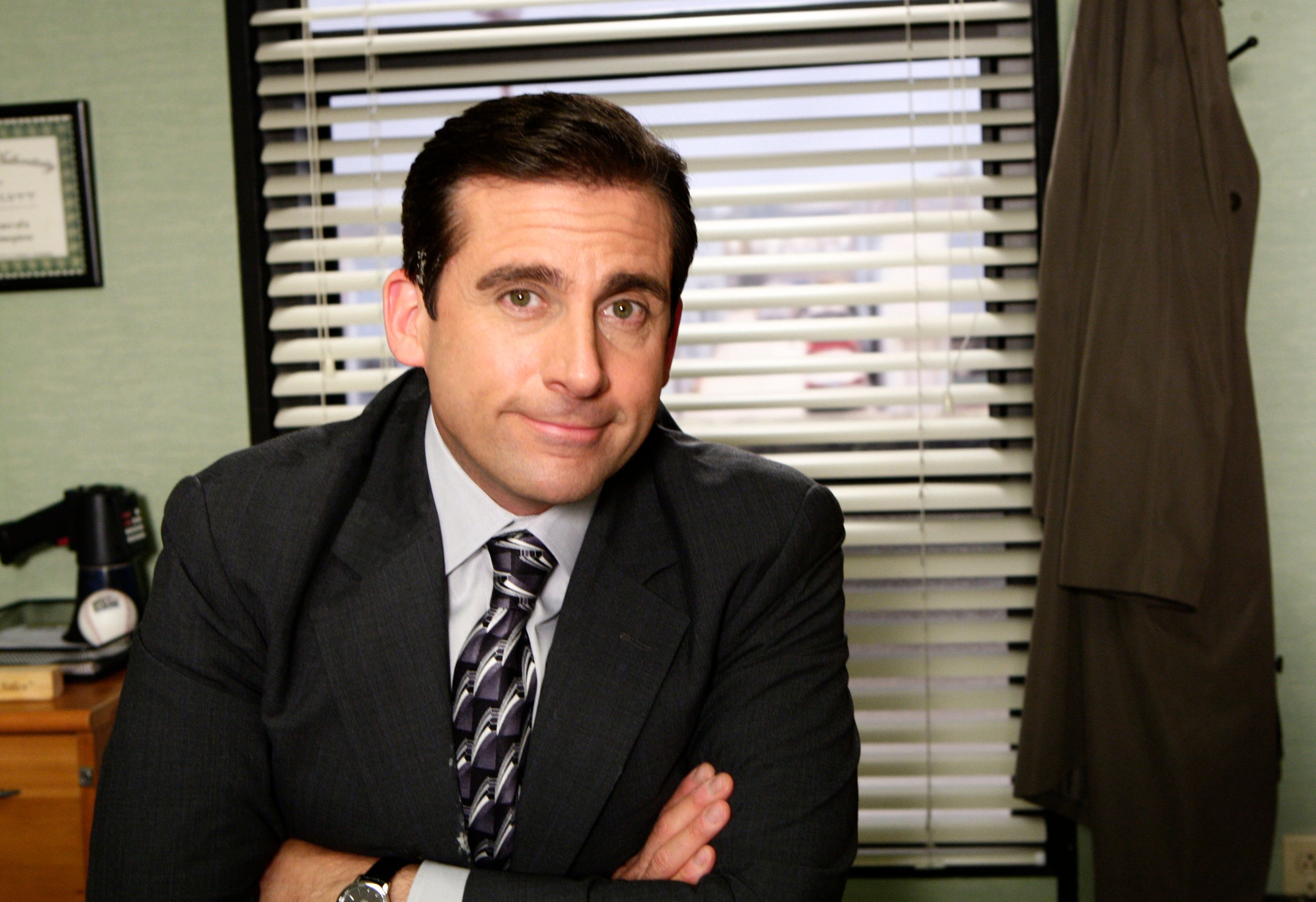 Steve Carell appeared in many other projects / Getty Images