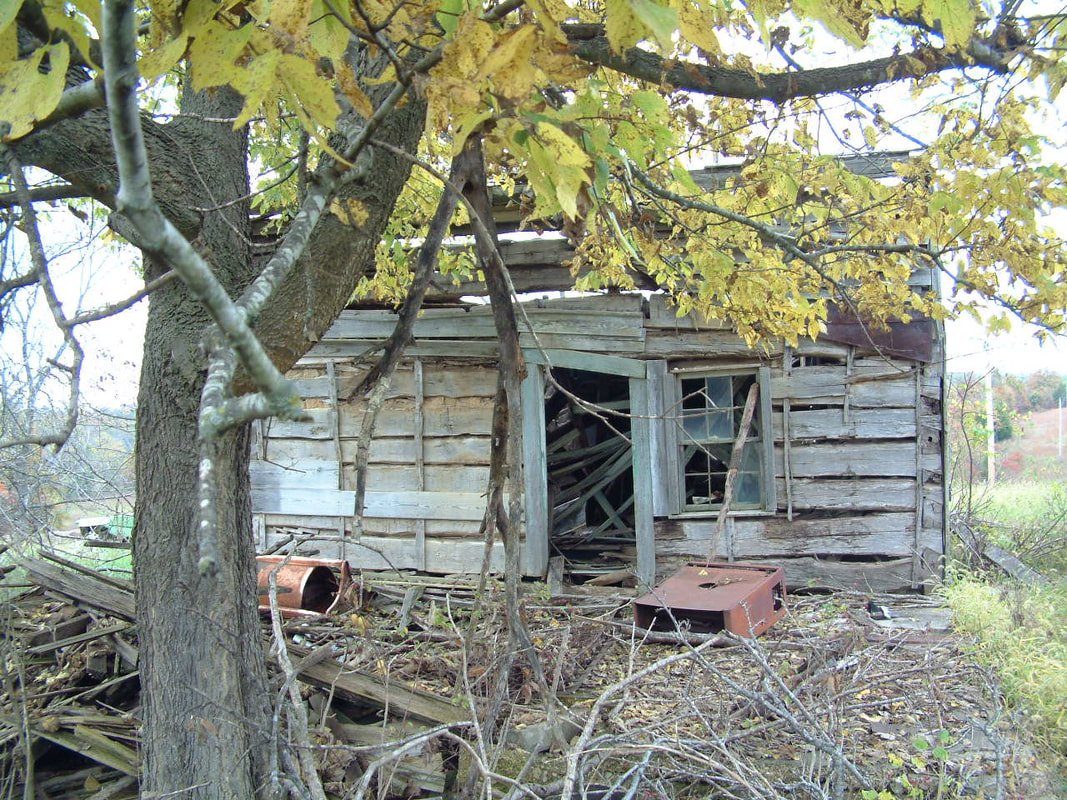 Image credits: A Log Cabin in the Woods